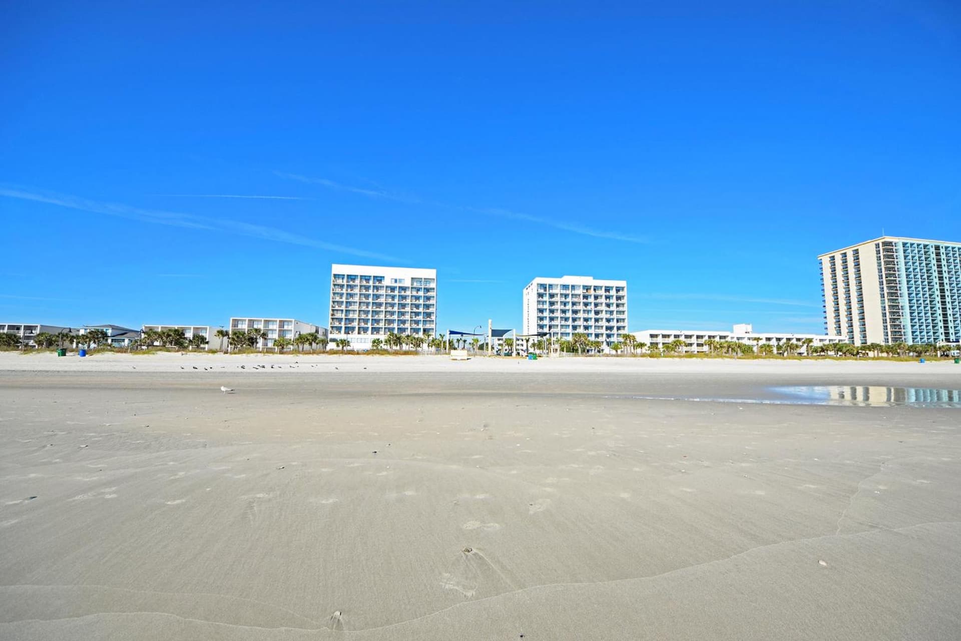Holiday Sands North "On the Boardwalk" gallery photo in Myrtle Beach, SC — image 7