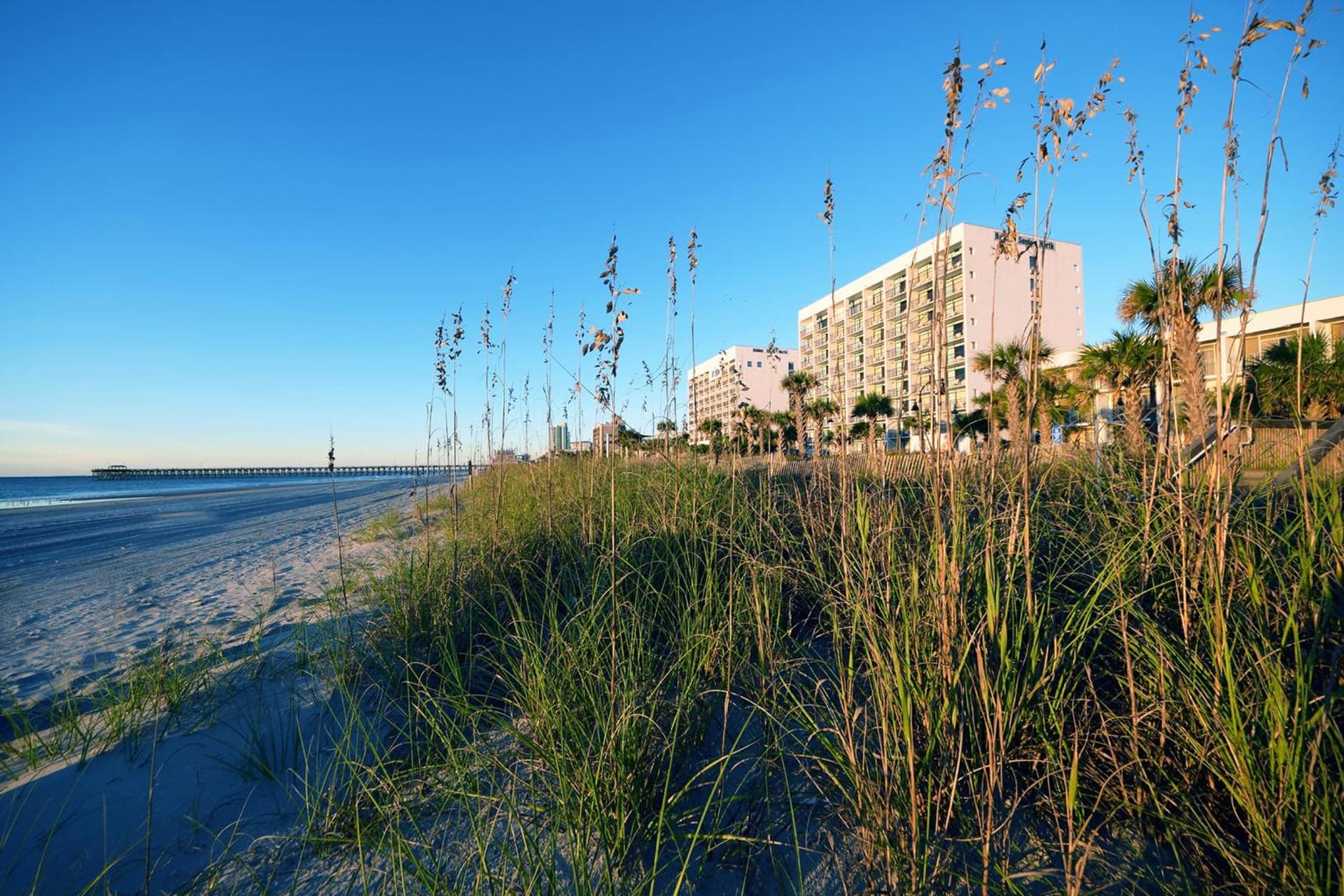 Holiday Sands North "On the Boardwalk" gallery photo in Myrtle Beach, SC — image 43