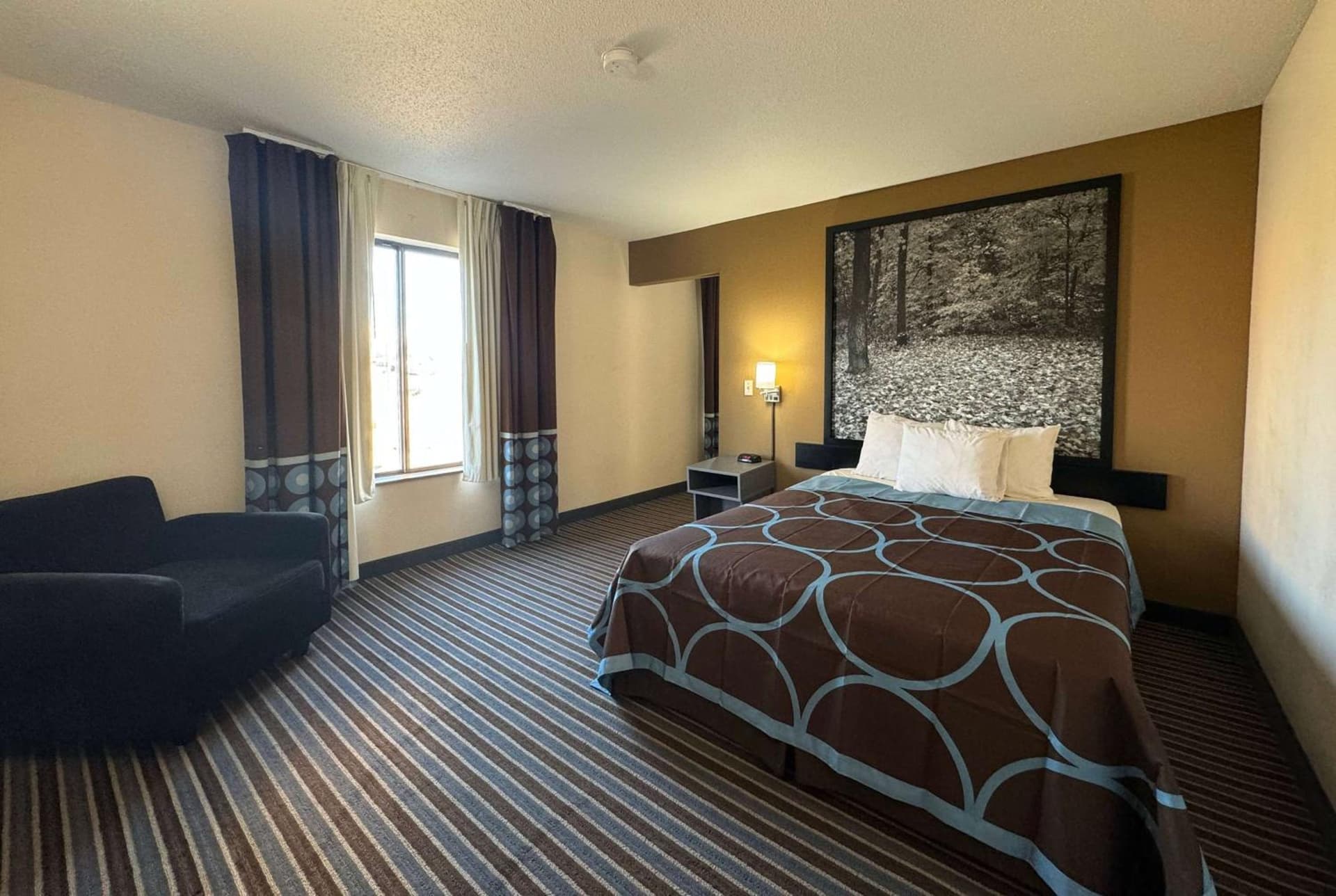 Super 8 by Wyndham Columbia Clark Lane property views in Columbia, MO — gallery photo 3