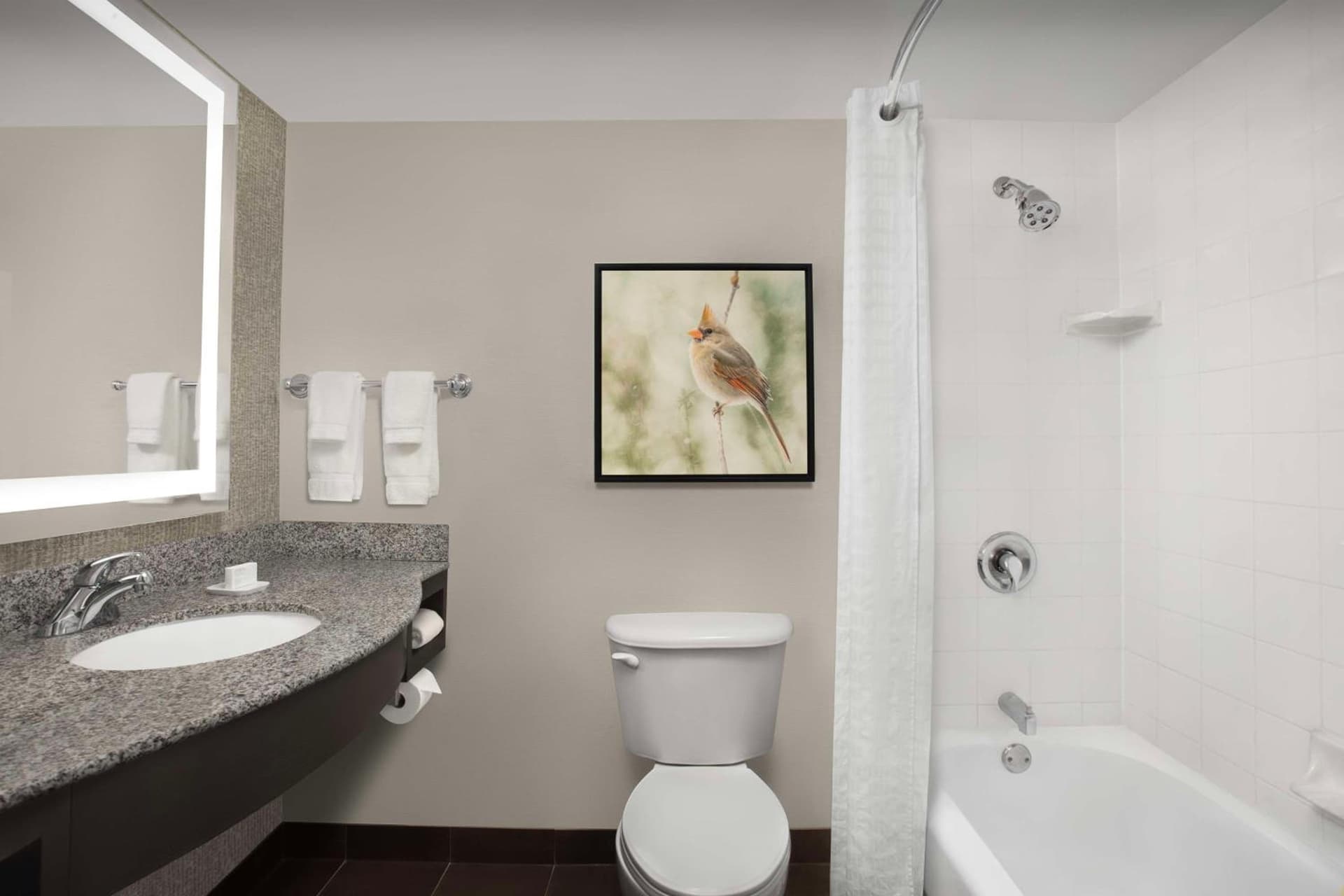 Hilton Garden Inn Hoffman Estates gallery photo in Hoffman Estates, IL — image 57