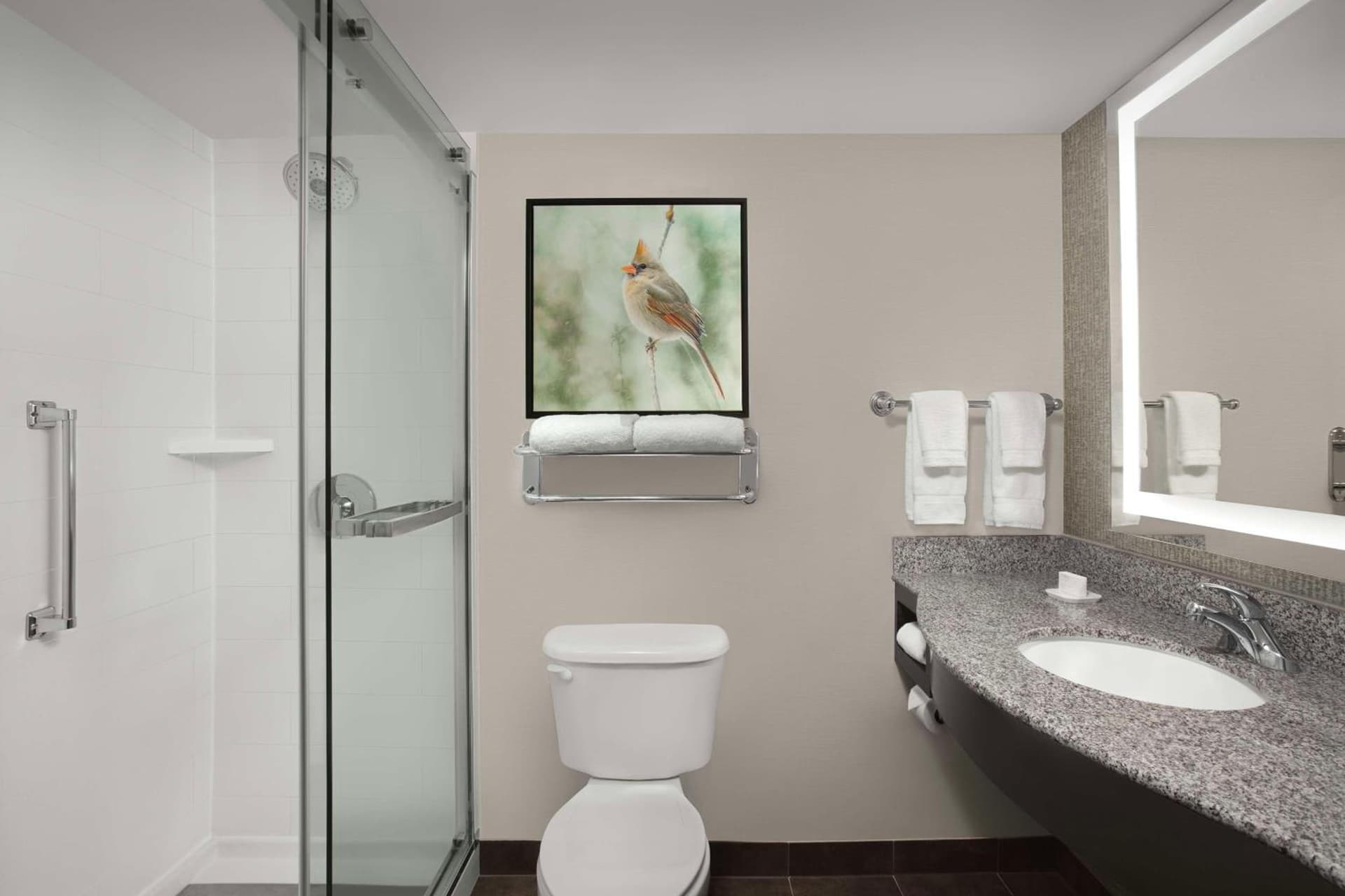 Hilton Garden Inn Hoffman Estates gallery photo in Hoffman Estates, IL — image 22