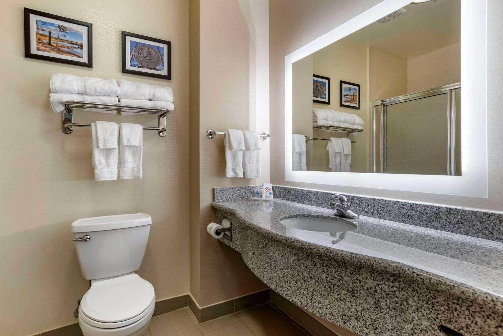 Comfort Suites Flowood - Jackson Airport gallery photo in Luckney, MS — image 22