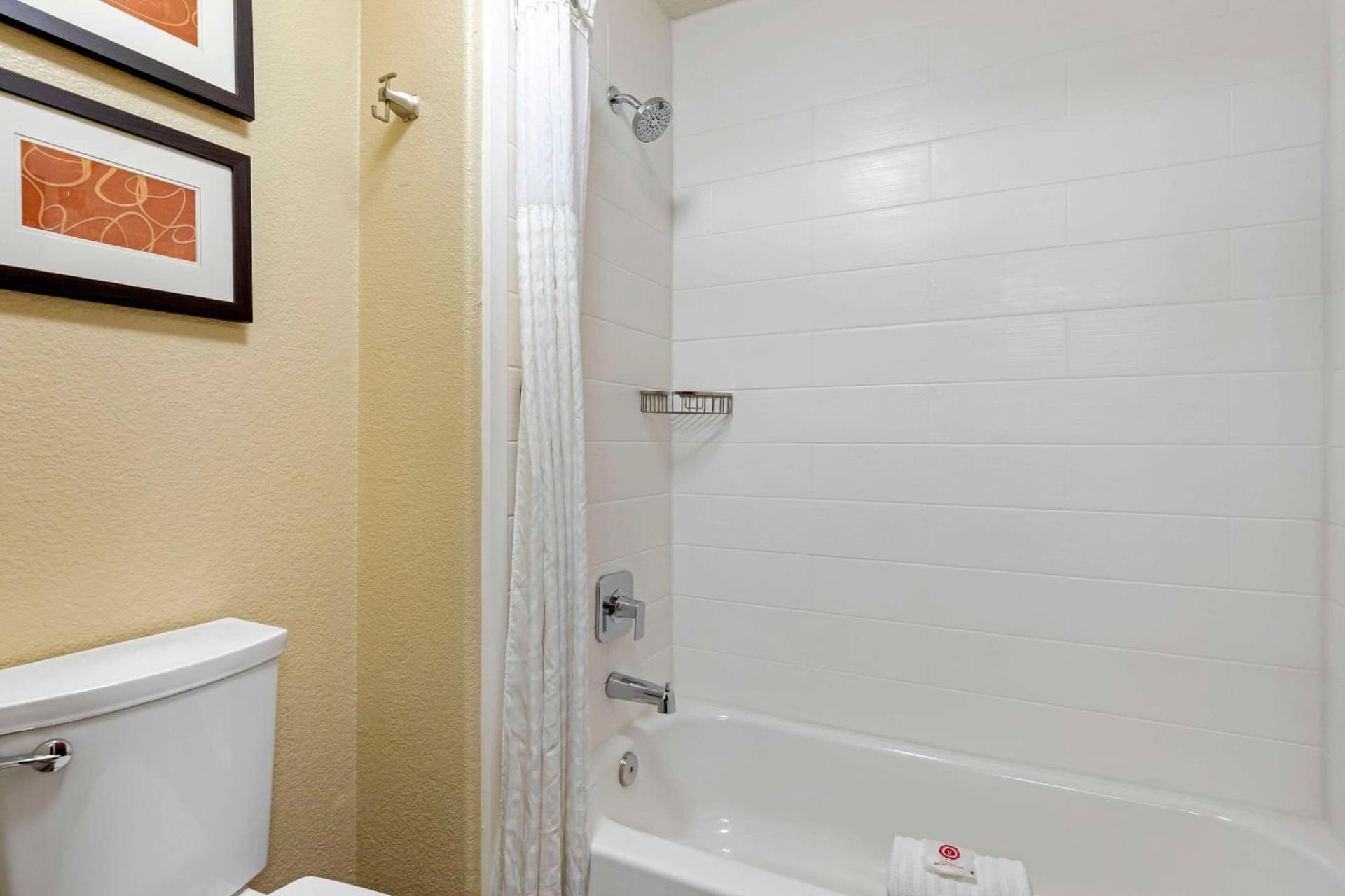 Comfort Suites Lakewood - Denver gallery photo in Lakewood, CO — image 25
