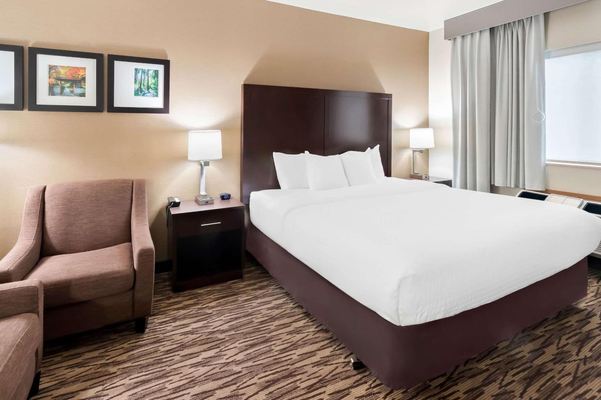 Comfort Suites Portland Airport gallery photo in Portland, OR — image 17