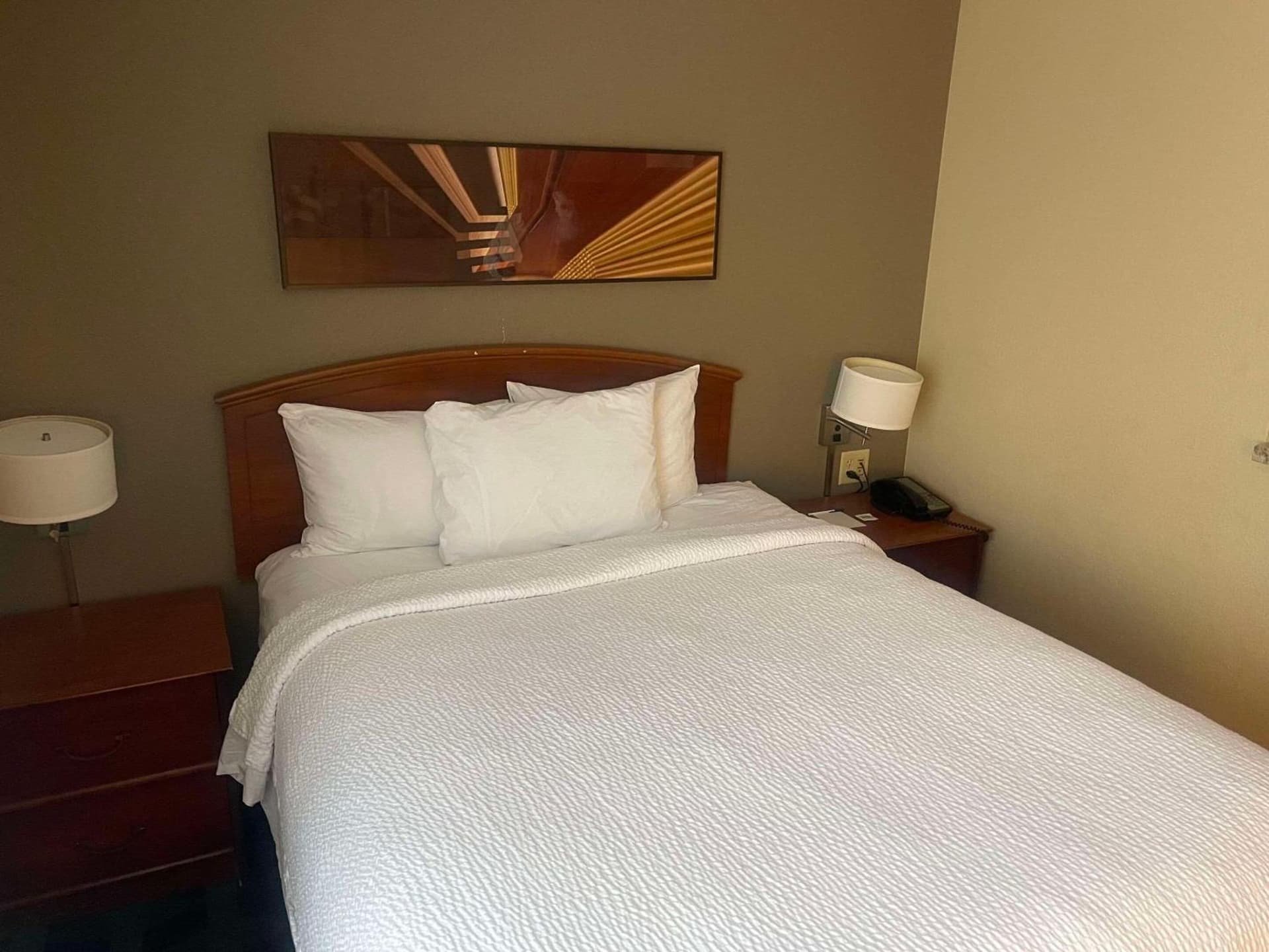 MainStay Suites Tampa Moffitt-USF property views in Tampa, FL — gallery photo 3