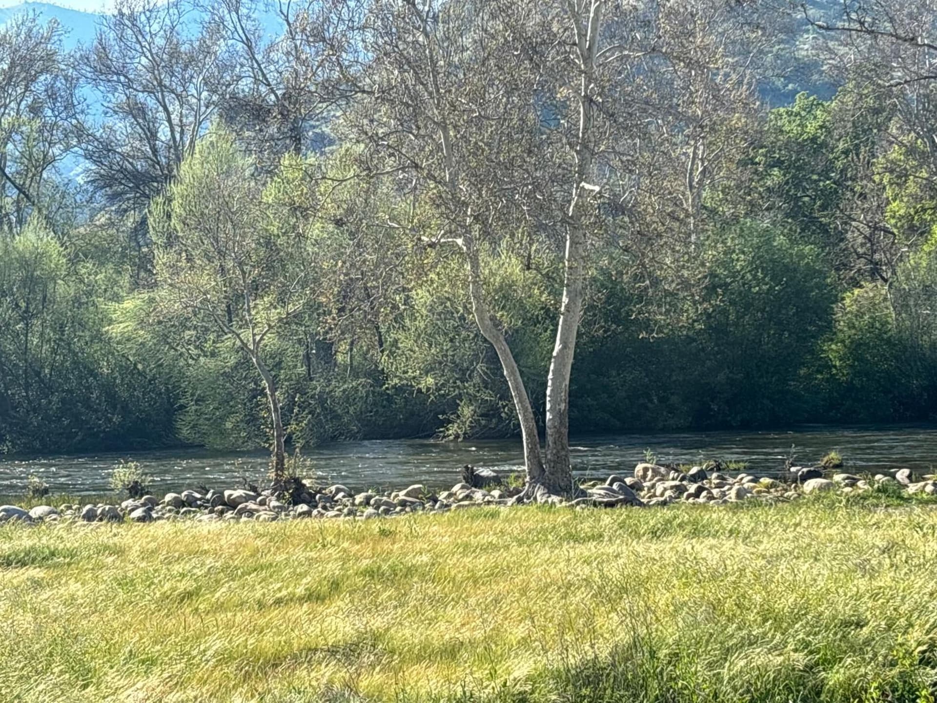 Sequoia River Front Cabins gallery photo in Three Rivers, CA — image 96