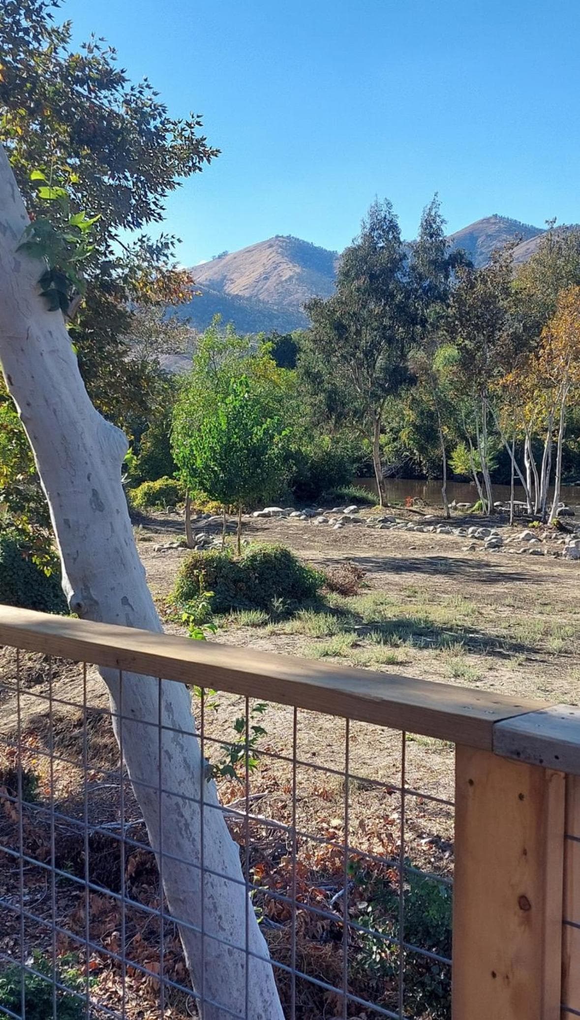 Sequoia River Front Cabins gallery photo in Three Rivers, CA — image 93