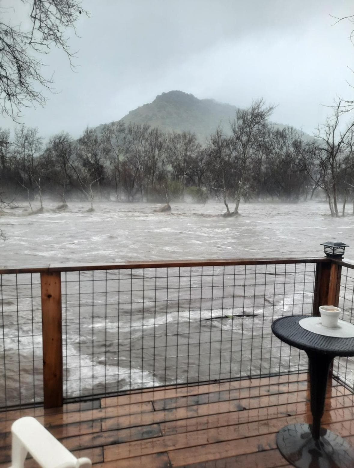 Sequoia River Front Cabins gallery photo in Three Rivers, CA — image 35