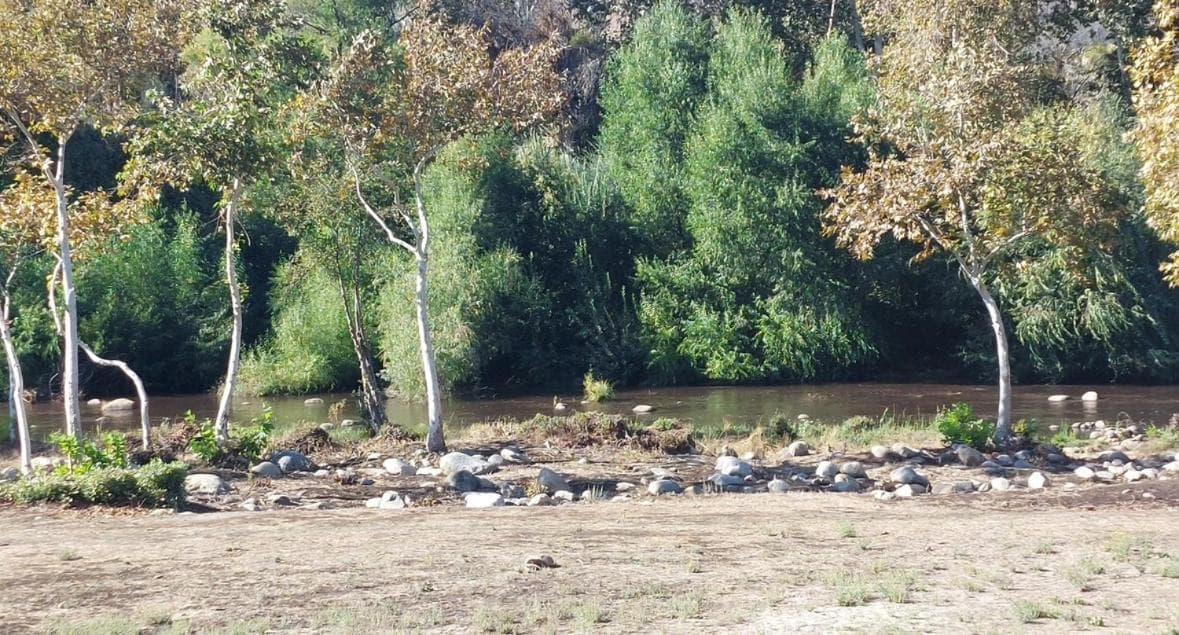 Sequoia River Front Cabins gallery photo in Three Rivers, CA — image 103