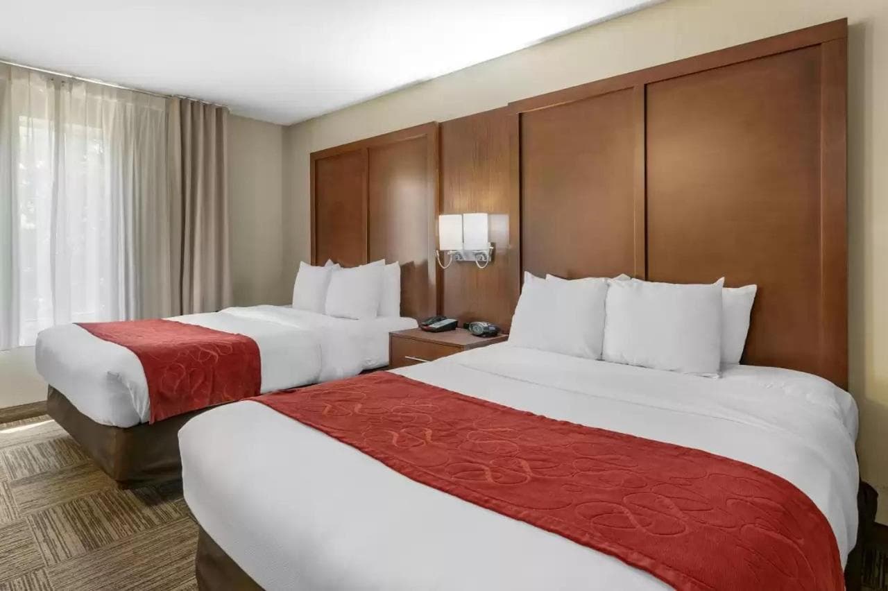 Comfort Suites Urbana Champaign, University Area gallery photo in Champaign, IL — image 45