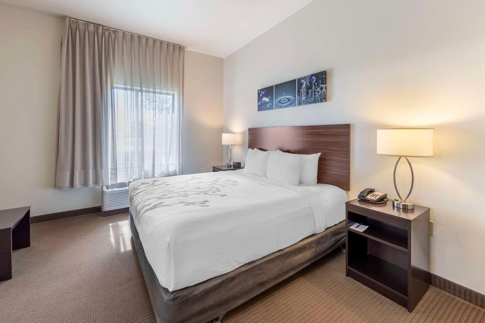 Garner Hotel Norman - University Area by IHG gallery photo in Norman, OK — image 40