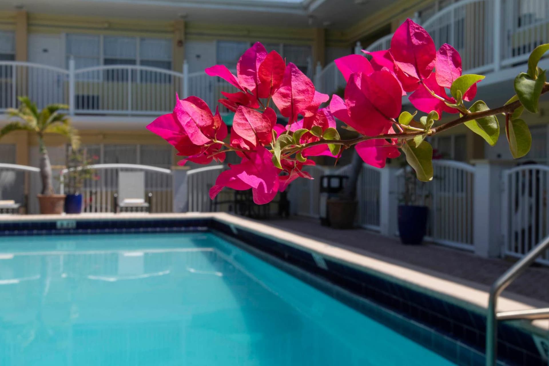 Beach Place Hotel property views in Miami Beach, FL — gallery photo 3