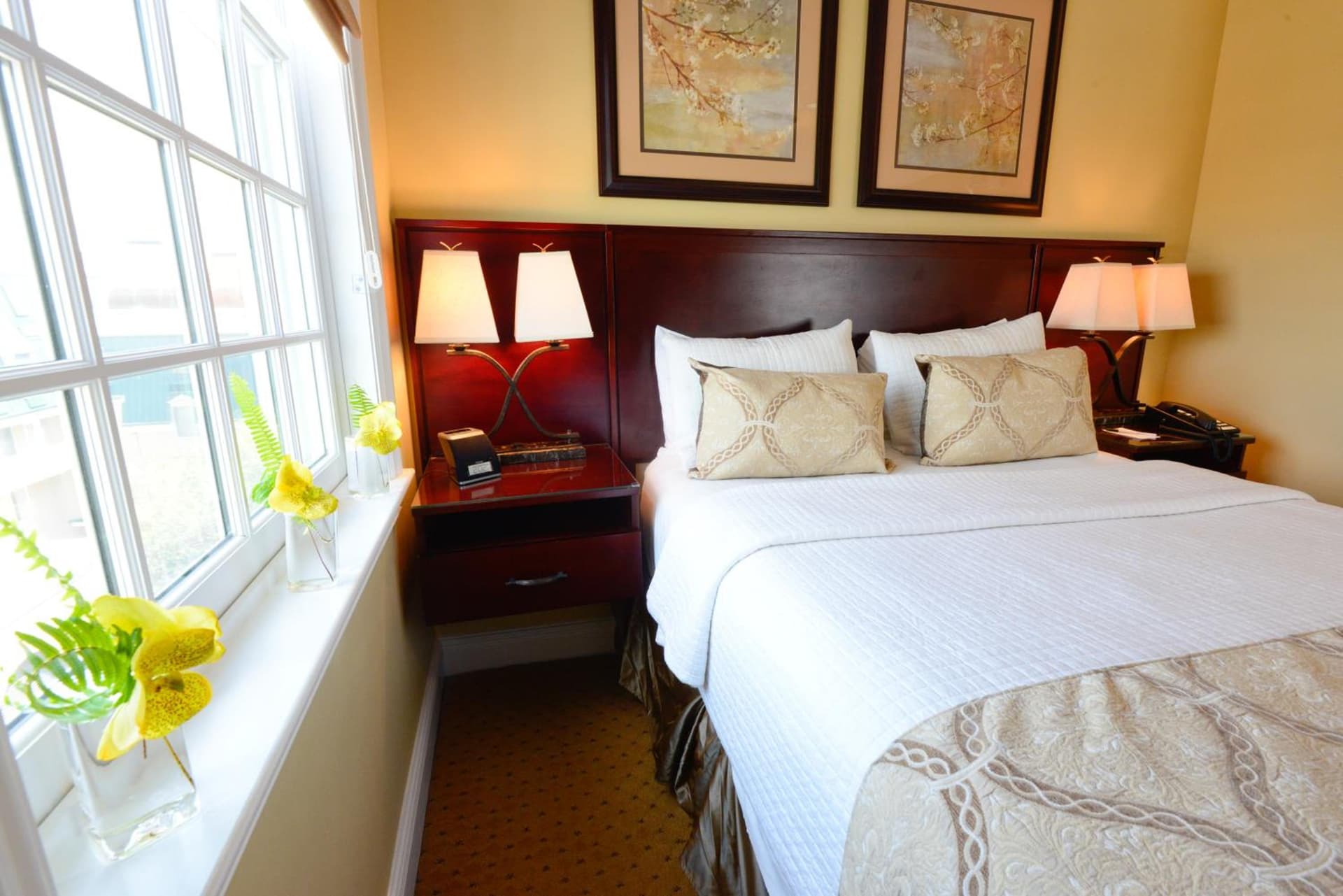 Nassau Inn gallery photo in Princeton, NJ — image 42