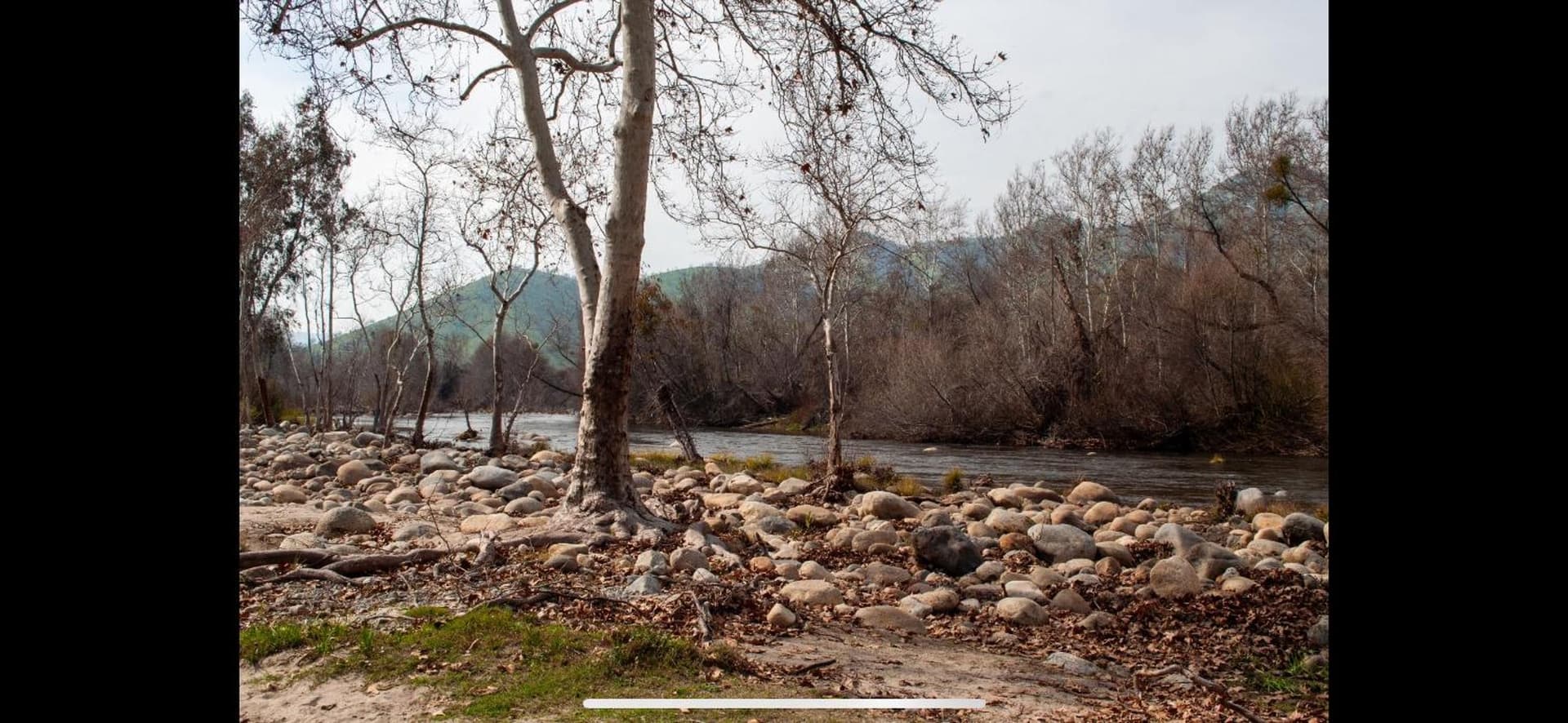 Sequoia River Front Cabins gallery photo in Three Rivers, CA — image 8
