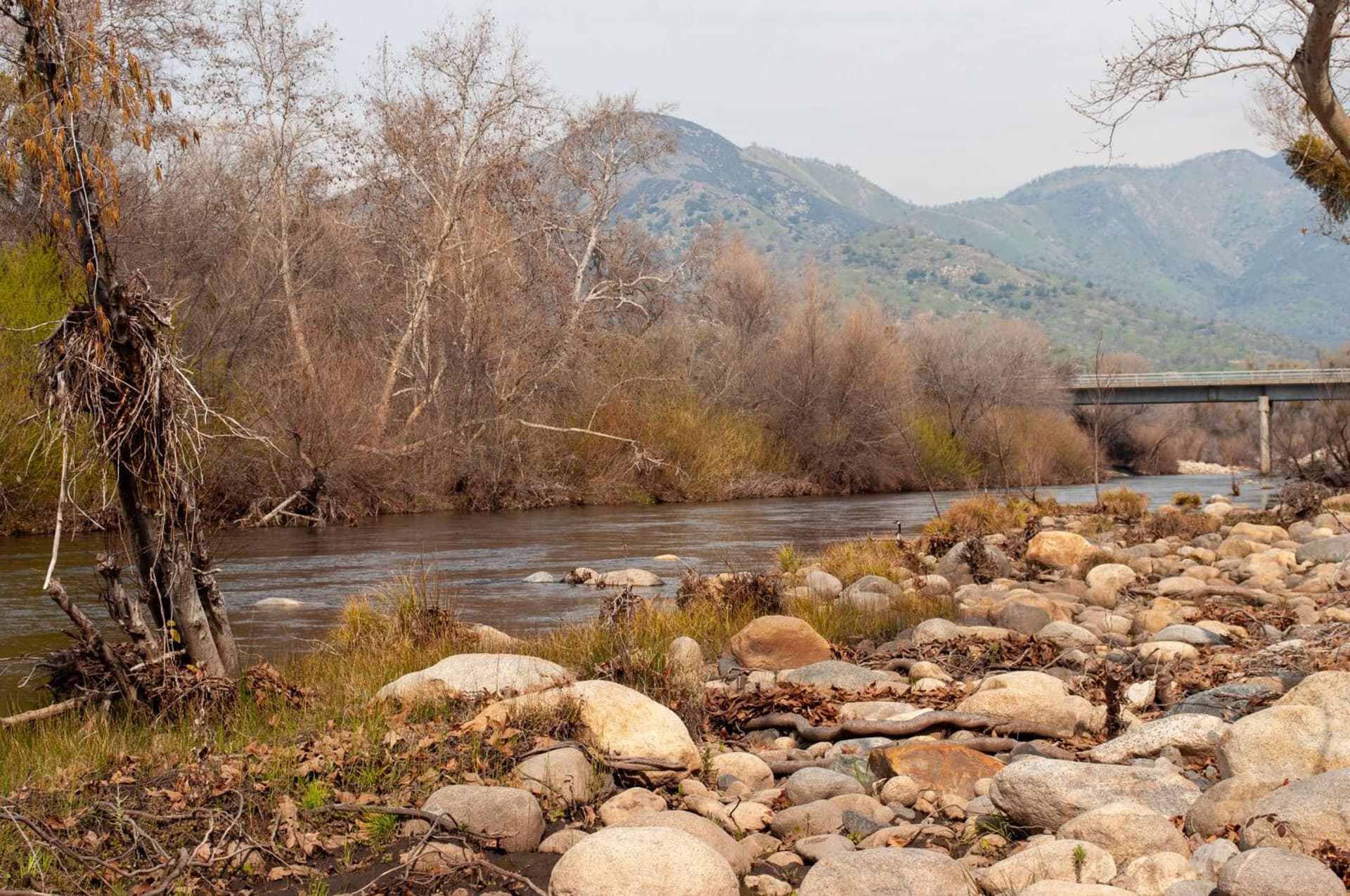 Sequoia River Front Cabins gallery photo in Three Rivers, CA — image 81