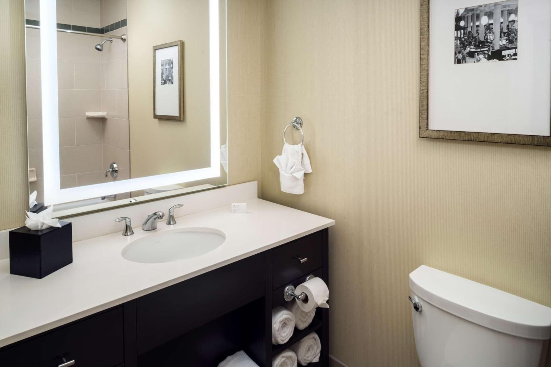 Embassy Suites Saint Louis - Downtown gallery photo in Saint Louis, MO — image 26