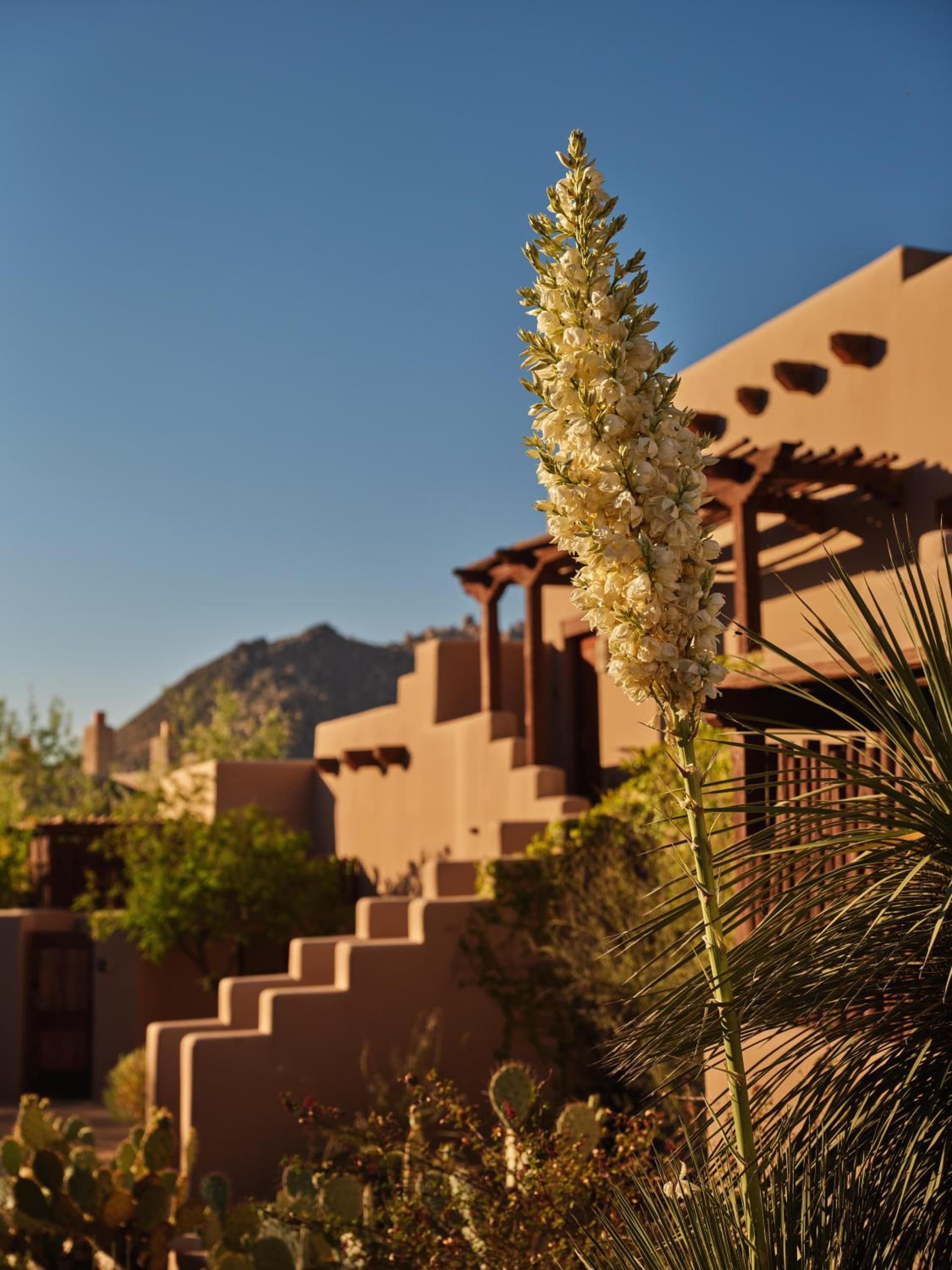 Four Seasons Resort Scottsdale at Troon North gallery photo in Scottsdale, AZ — image 70