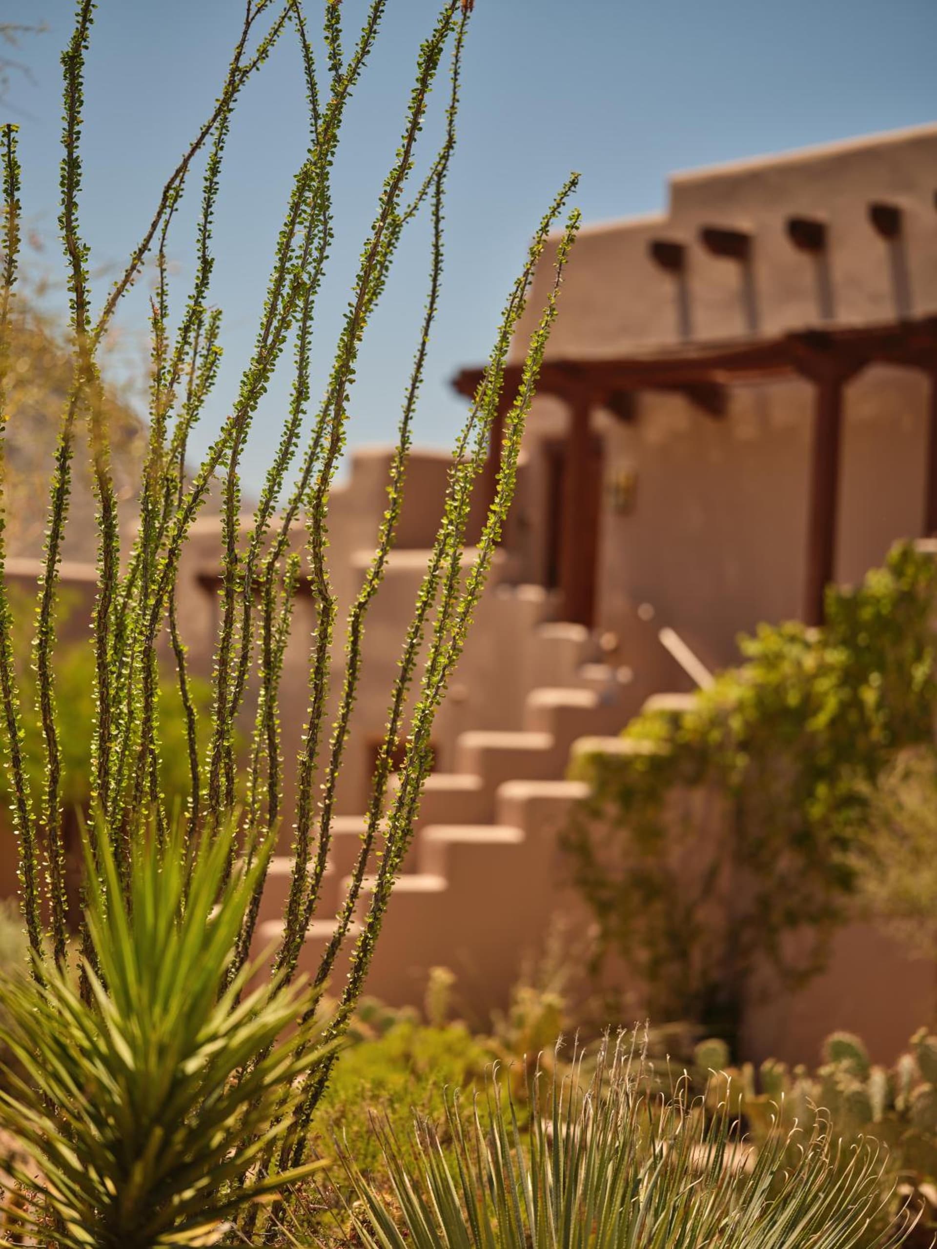 Four Seasons Resort Scottsdale at Troon North gallery photo in Scottsdale, AZ — image 54