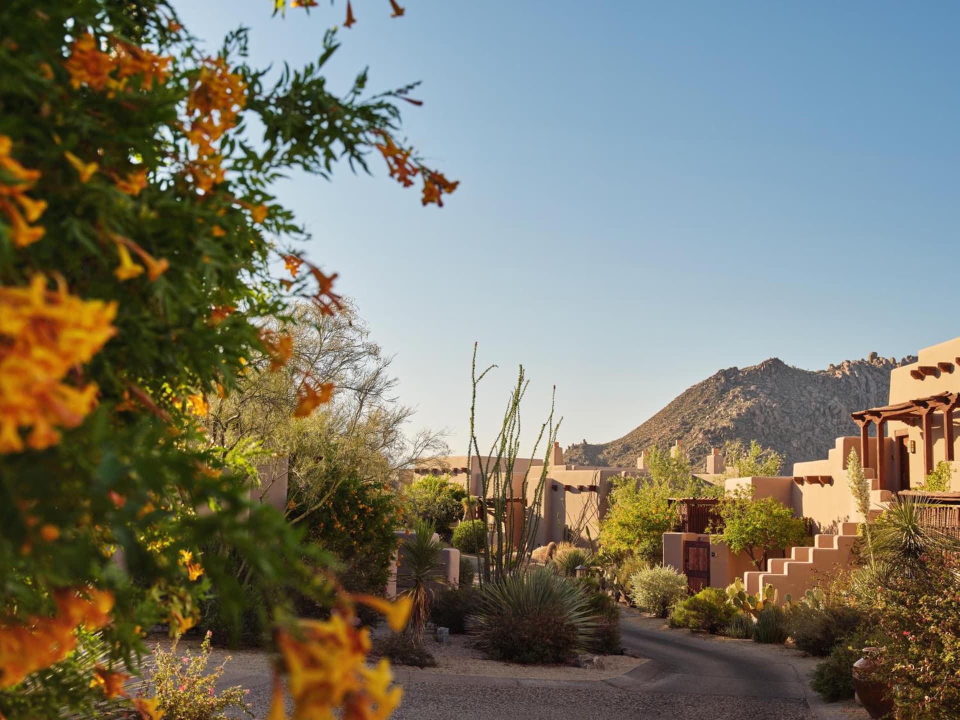 Four Seasons Resort Scottsdale at Troon North gallery photo in Scottsdale, AZ — image 32
