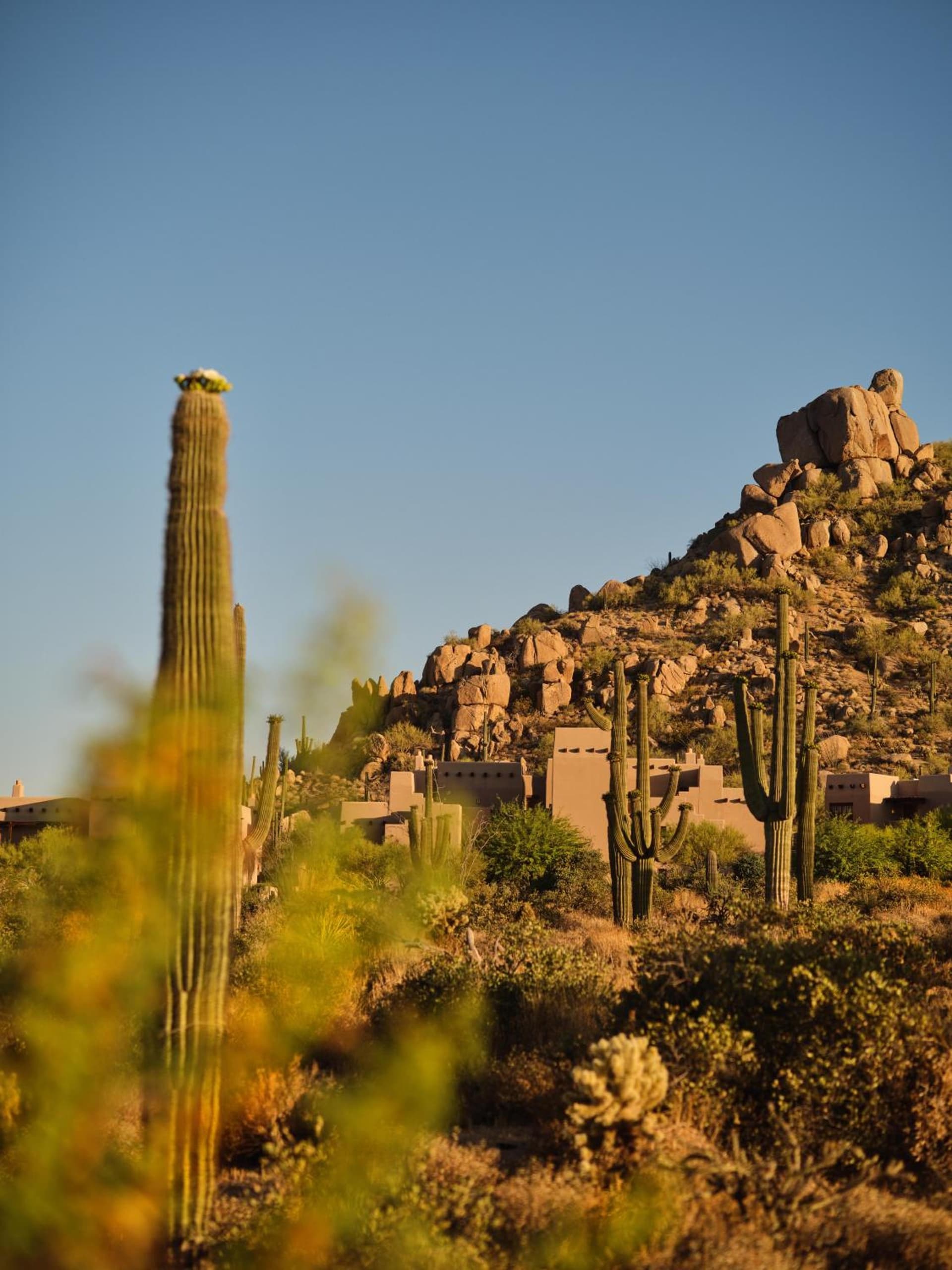 Four Seasons Resort Scottsdale at Troon North gallery photo in Scottsdale, AZ — image 27