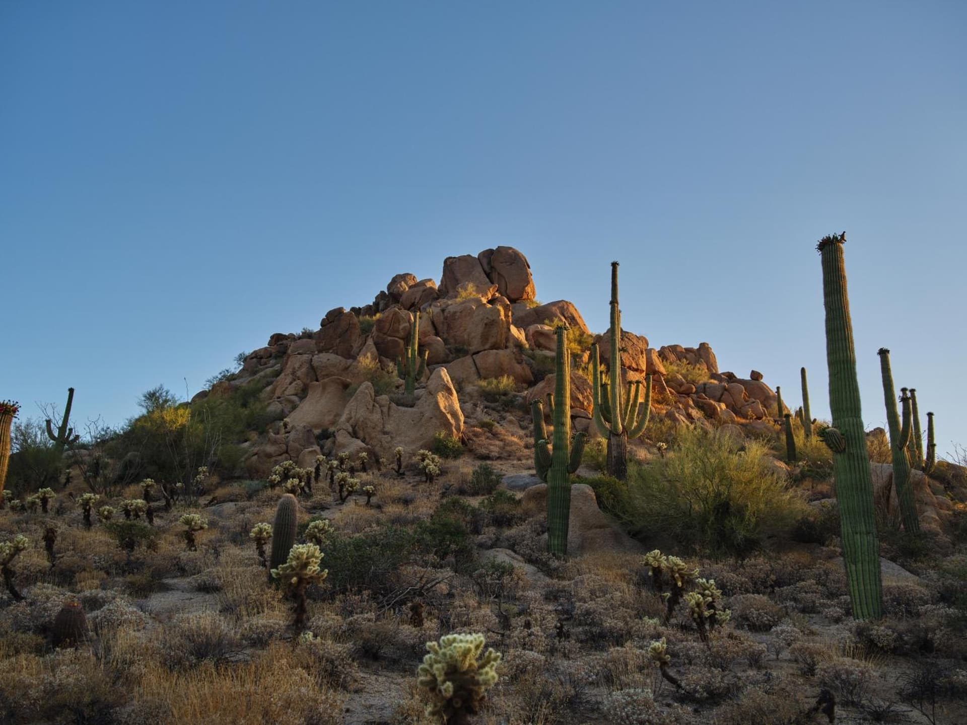 Four Seasons Resort Scottsdale at Troon North gallery photo in Scottsdale, AZ — image 84
