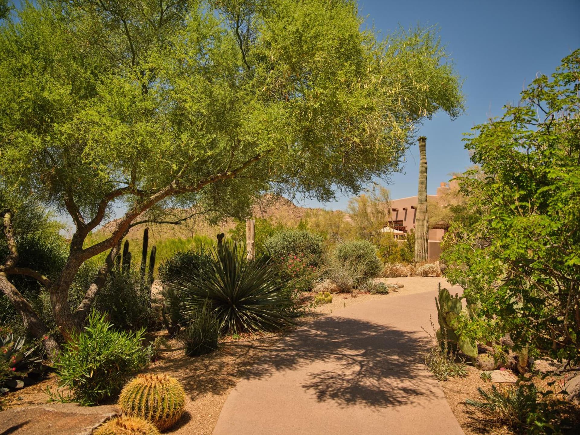 Four Seasons Resort Scottsdale at Troon North gallery photo in Scottsdale, AZ — image 71