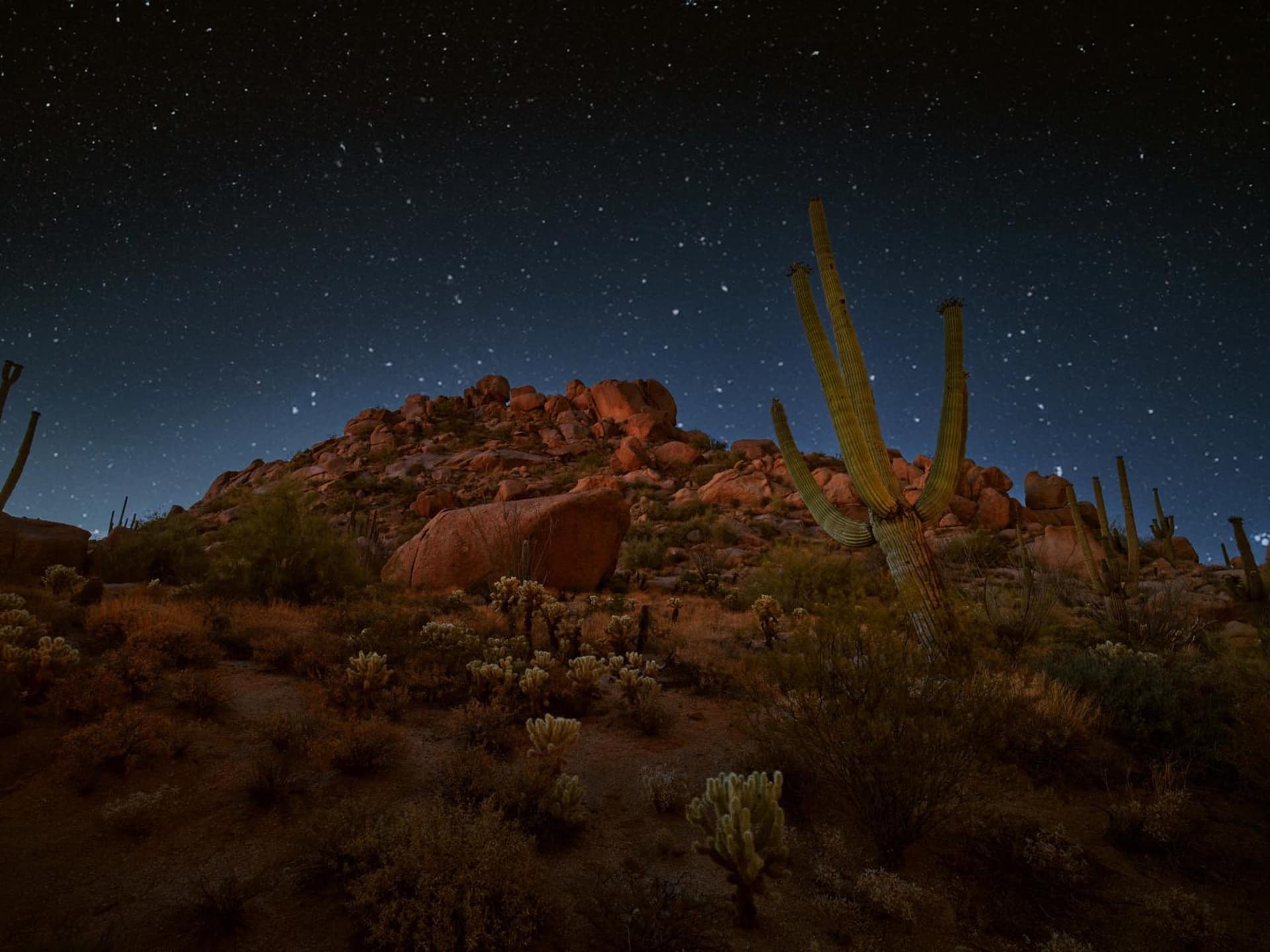 Four Seasons Resort Scottsdale at Troon North gallery photo in Scottsdale, AZ — image 69