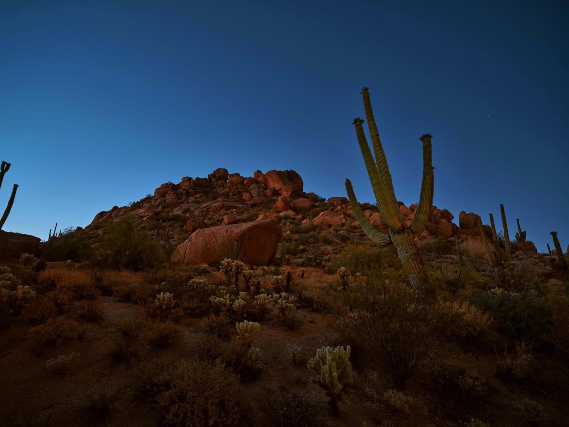 Four Seasons Resort Scottsdale at Troon North gallery photo in Scottsdale, AZ — image 47