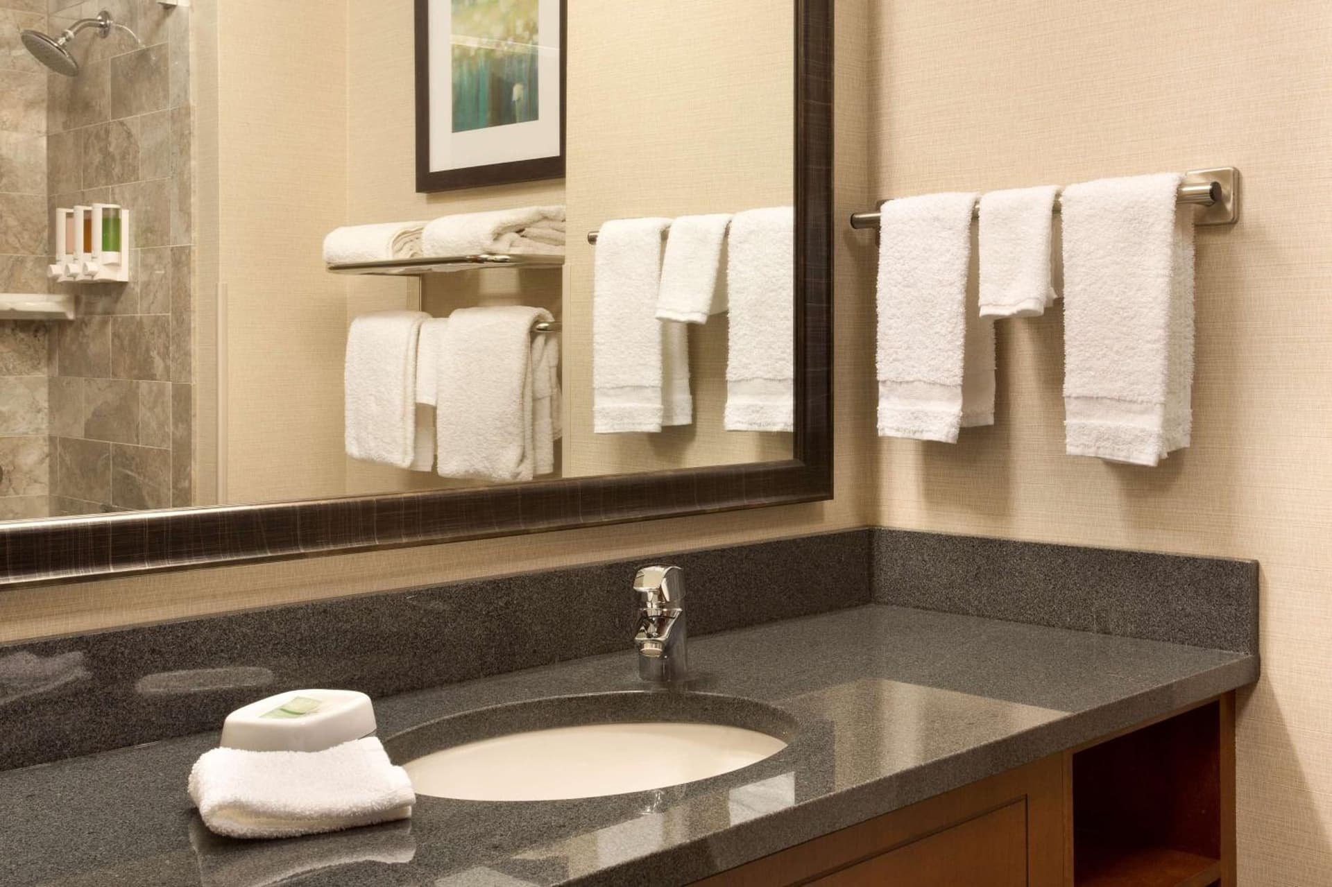 Drury Plaza Hotel St Louis Brentwood gallery photo in Brentwood, MO — image 8