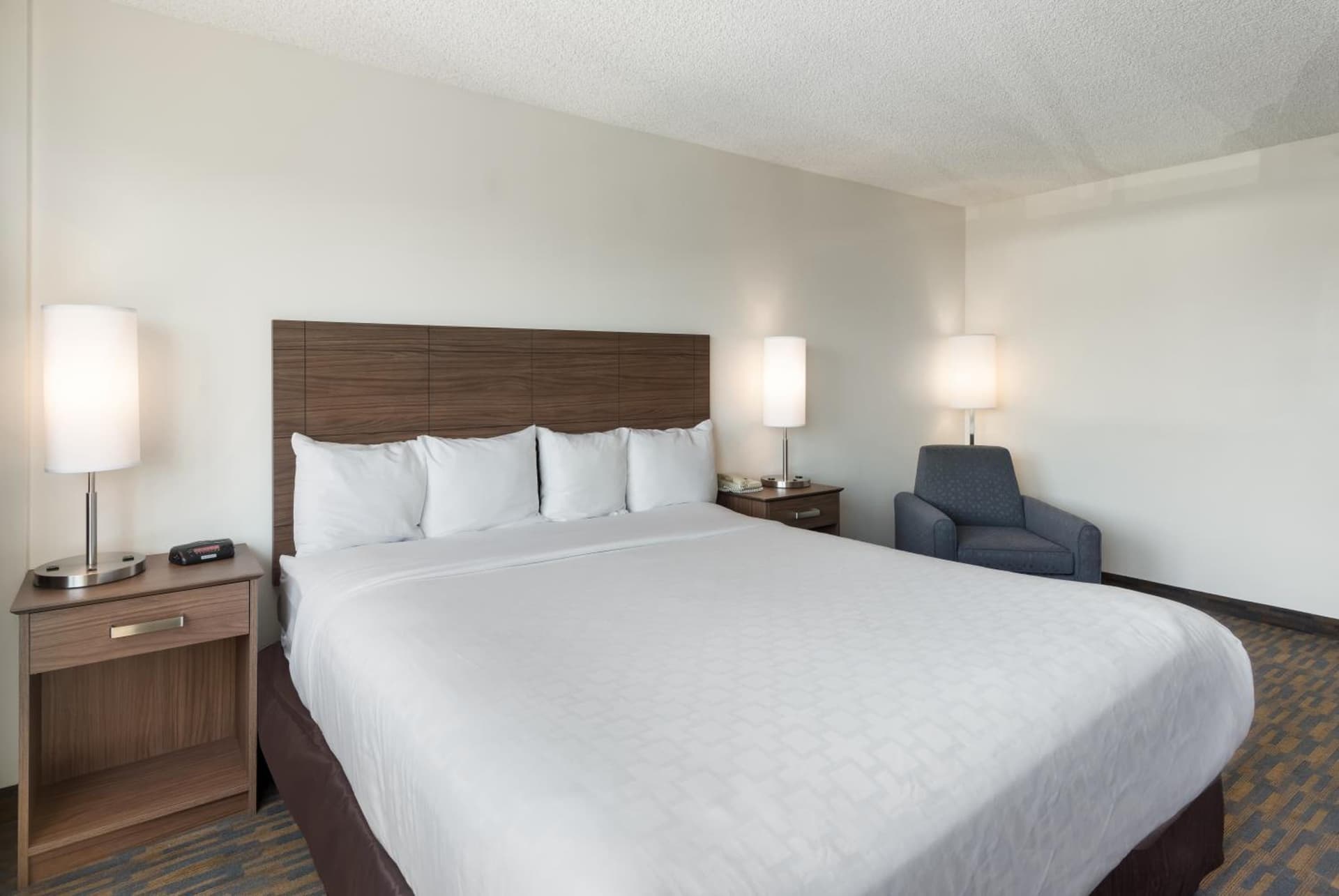 Clarion Hotel Concord/Walnut Creek gallery photo in Concord, CA — image 31
