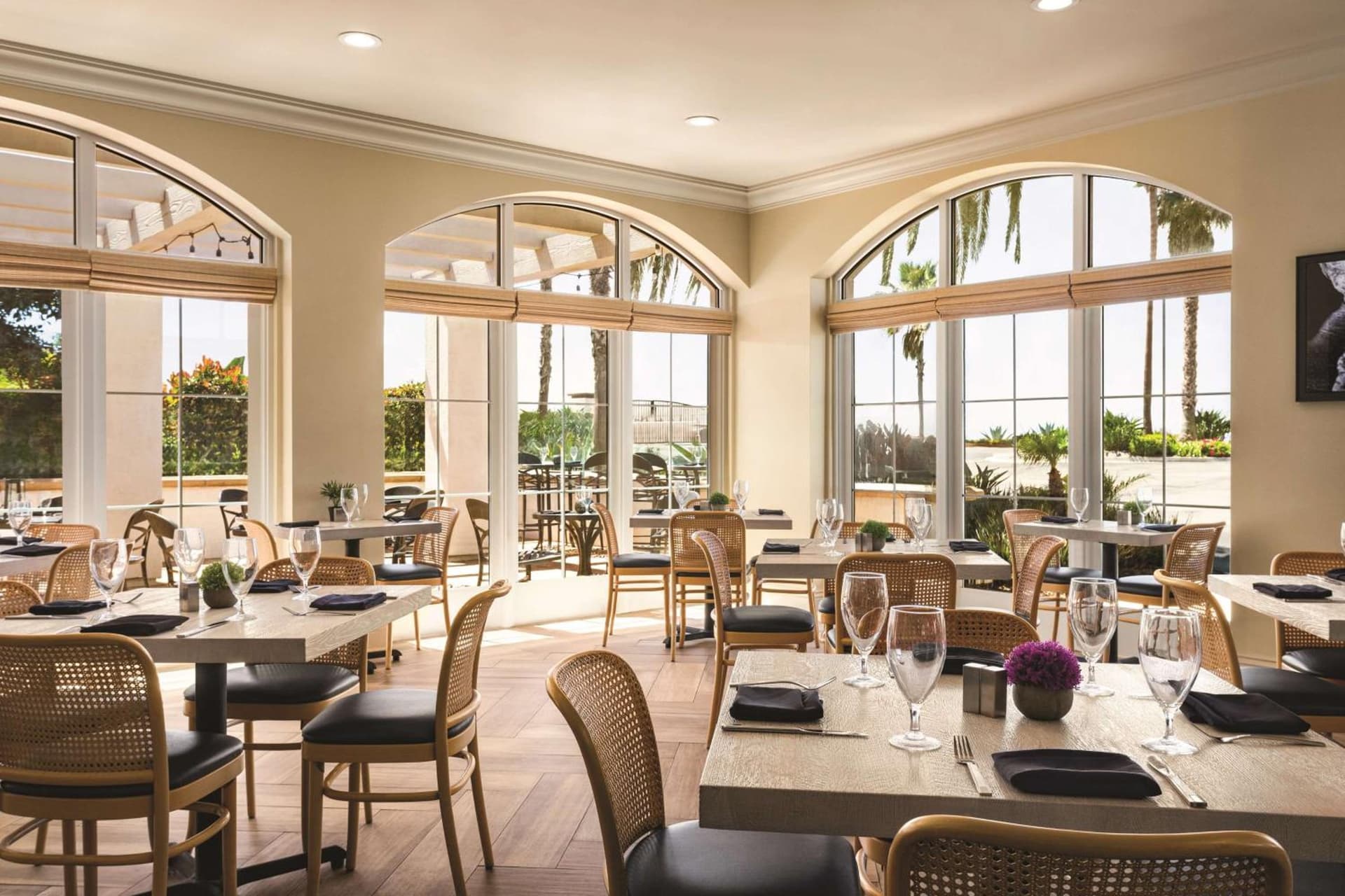 Hilton Garden Inn Carlsbad Beach gallery photo in Carlsbad, CA — image 61