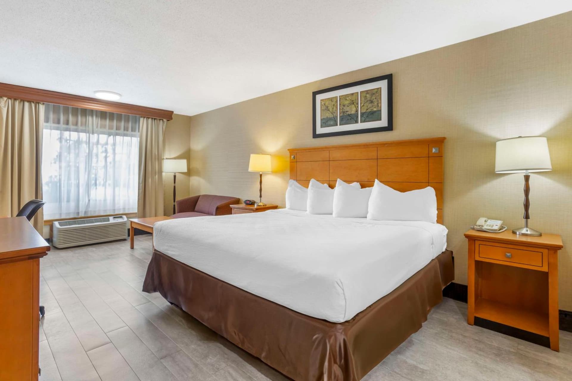 Best Western Danbury/Bethel gallery photo in Bethel — image 12
