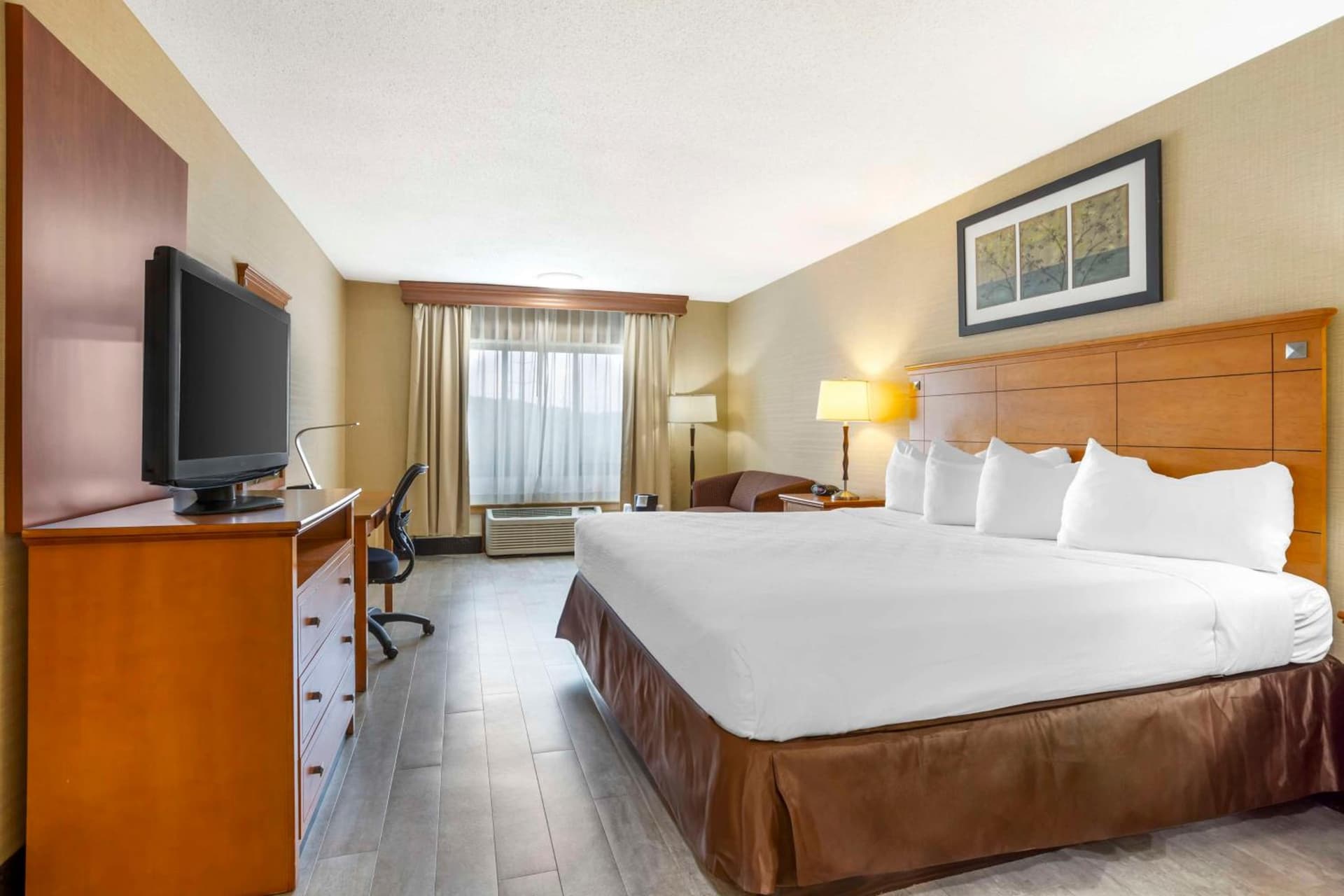 Best Western Danbury/Bethel gallery photo in Bethel — image 6