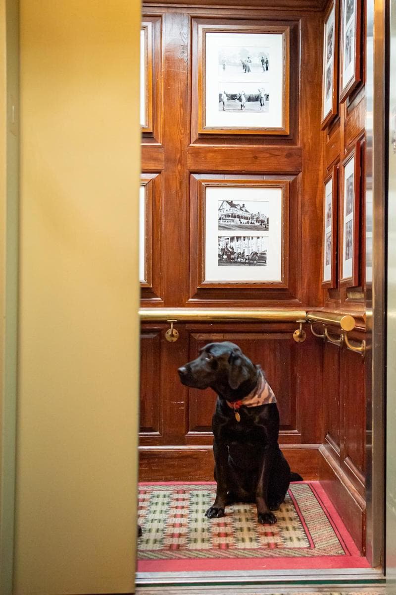 The Willcox gallery photo in Aiken, SC — image 9