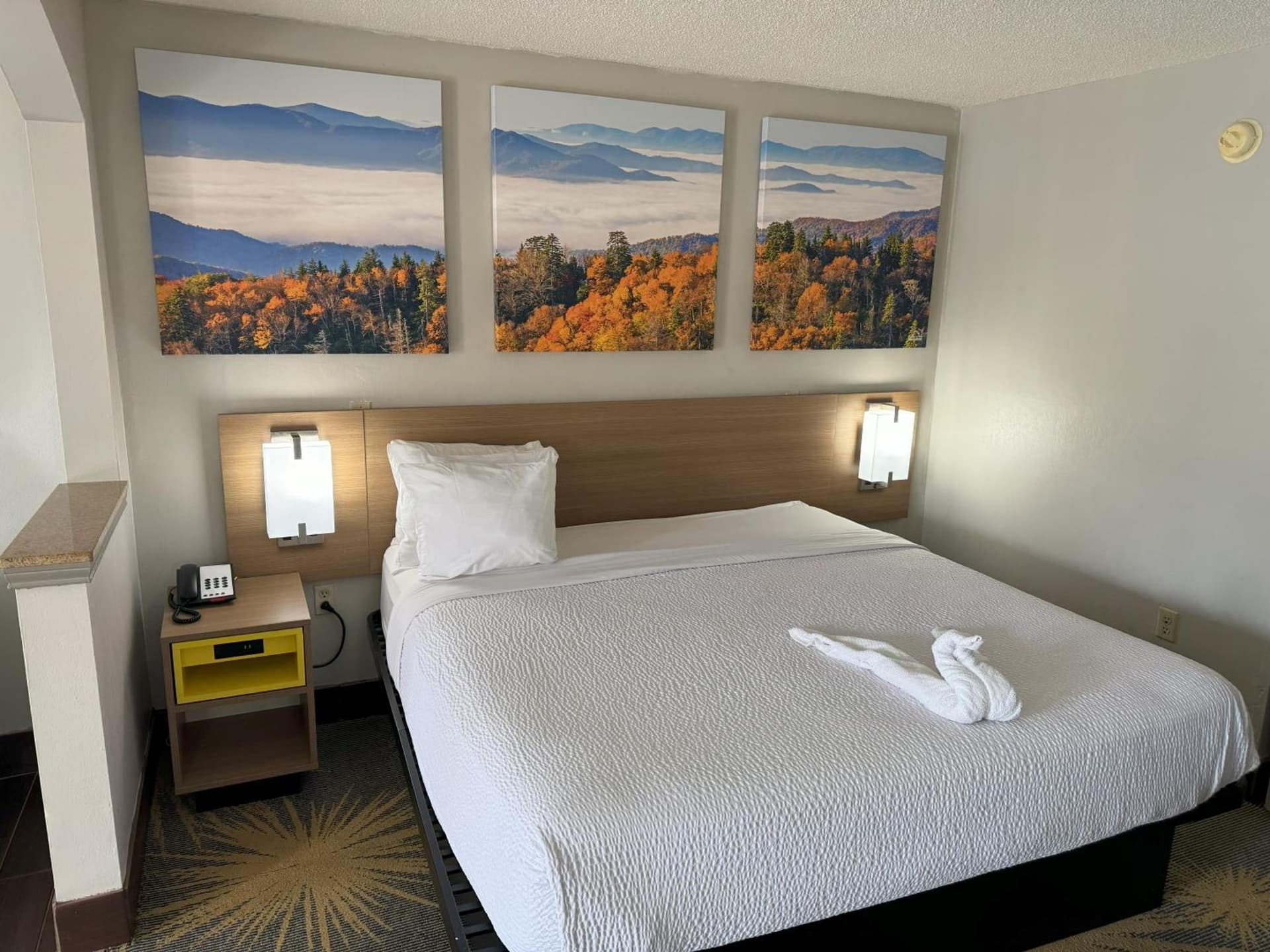 Days Inn & Suites by Wyndham Tuscaloosa - Univ. of Alabama gallery photo in Tuscaloosa, AL — image 4