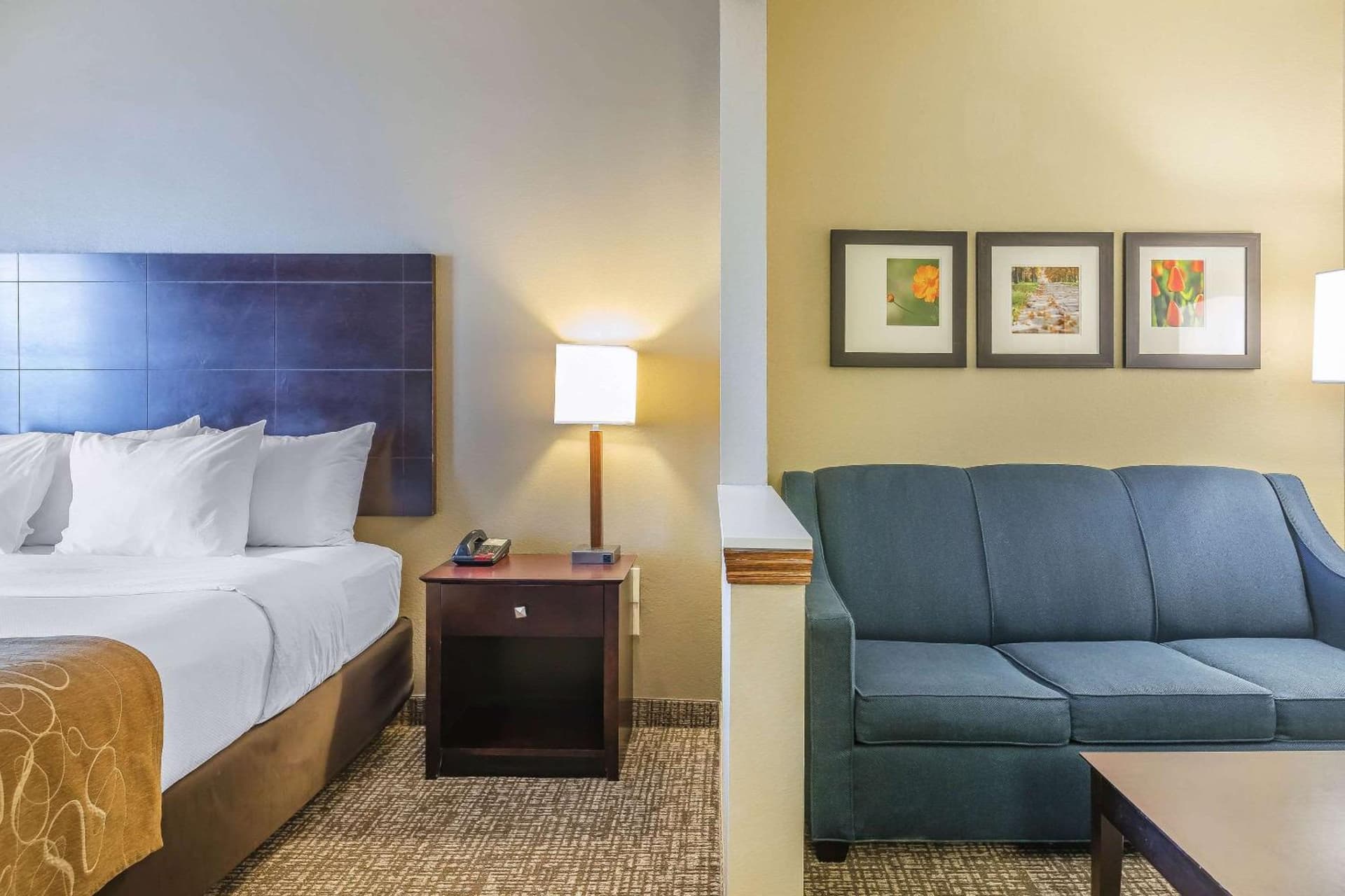 Comfort Suites Fort Wayne North gallery photo in Fort Wayne, IN — image 26