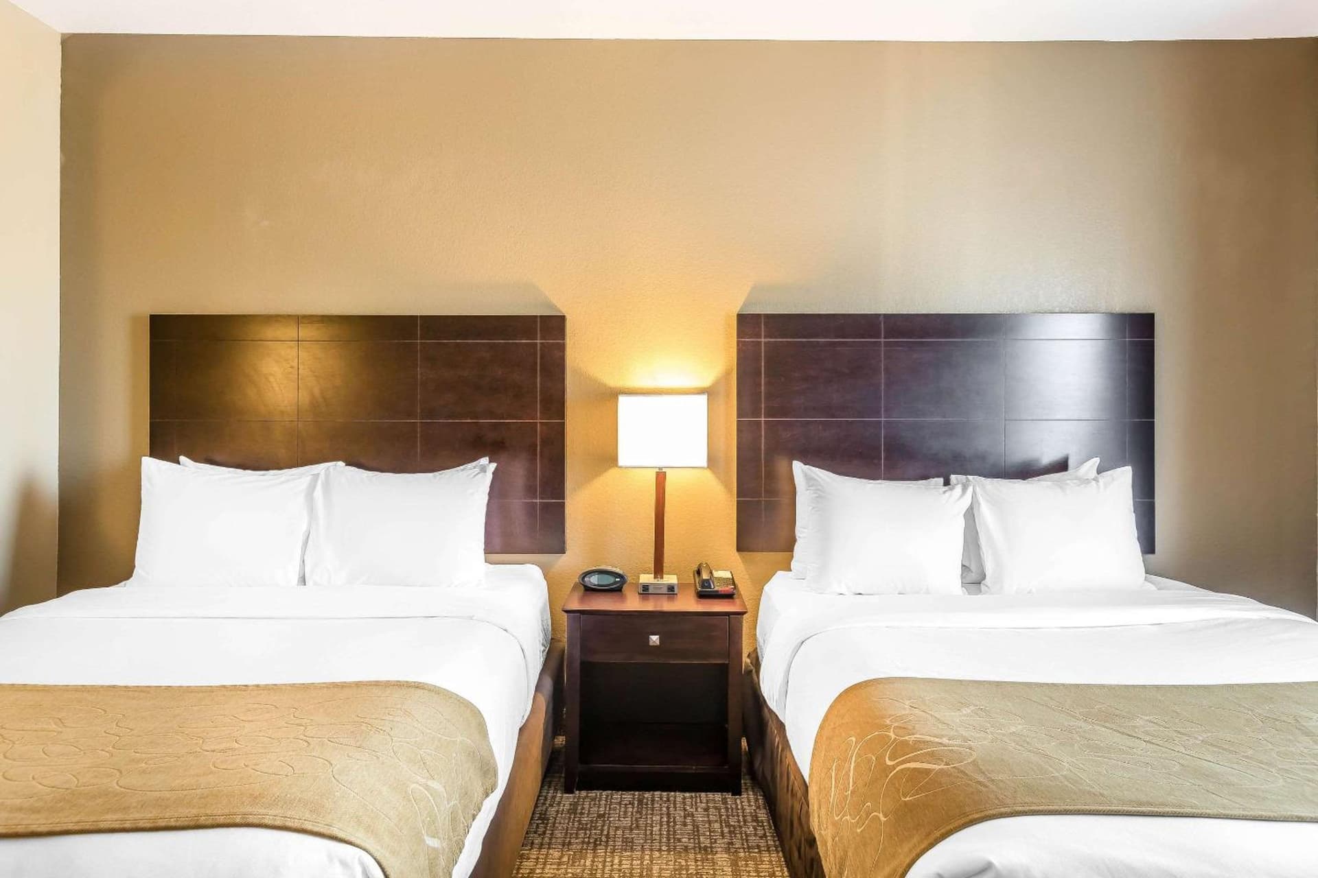 Comfort Suites Fort Wayne North gallery photo in Fort Wayne, IN — image 20