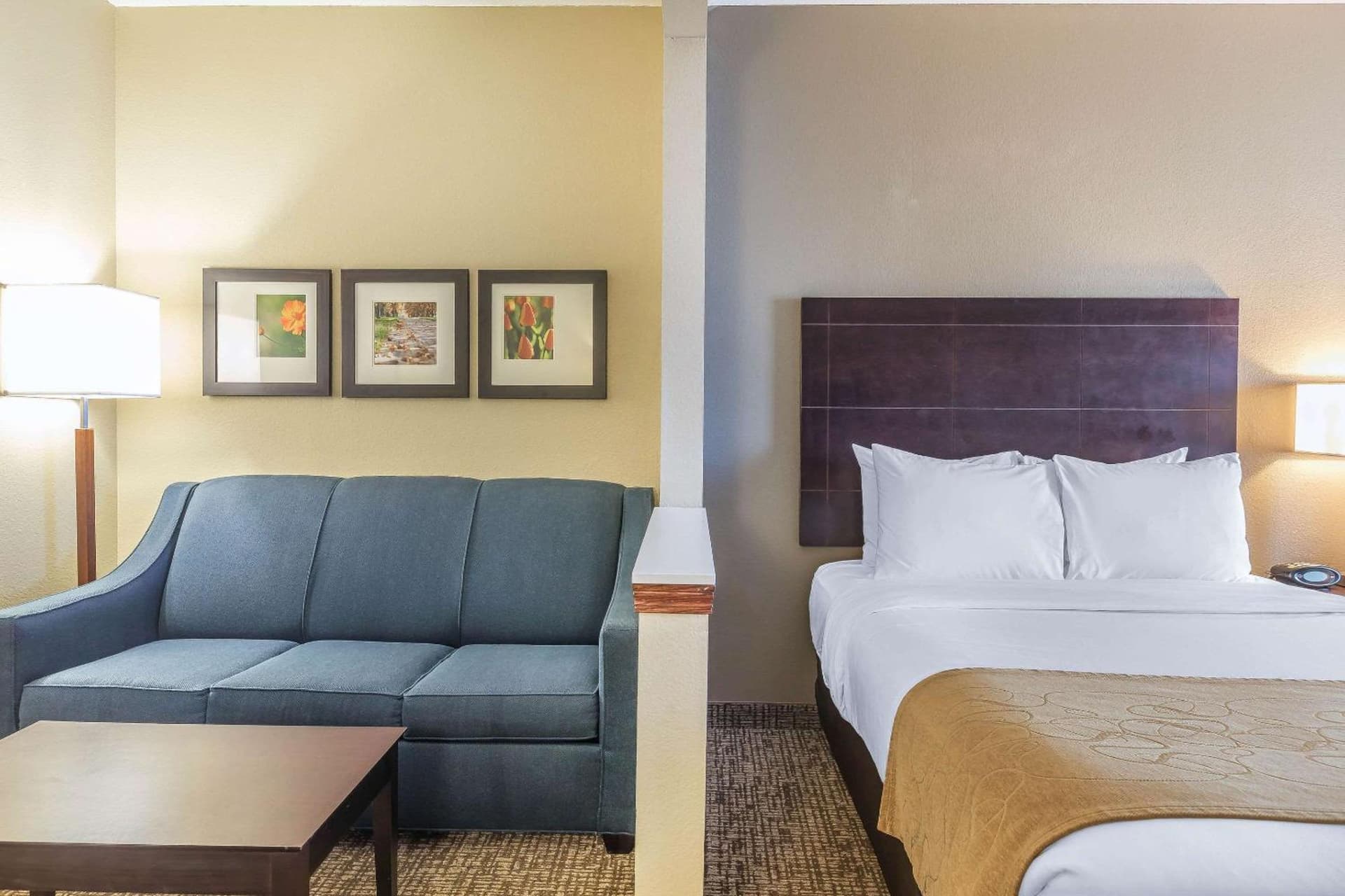Comfort Suites Fort Wayne North gallery photo in Fort Wayne, IN — image 23