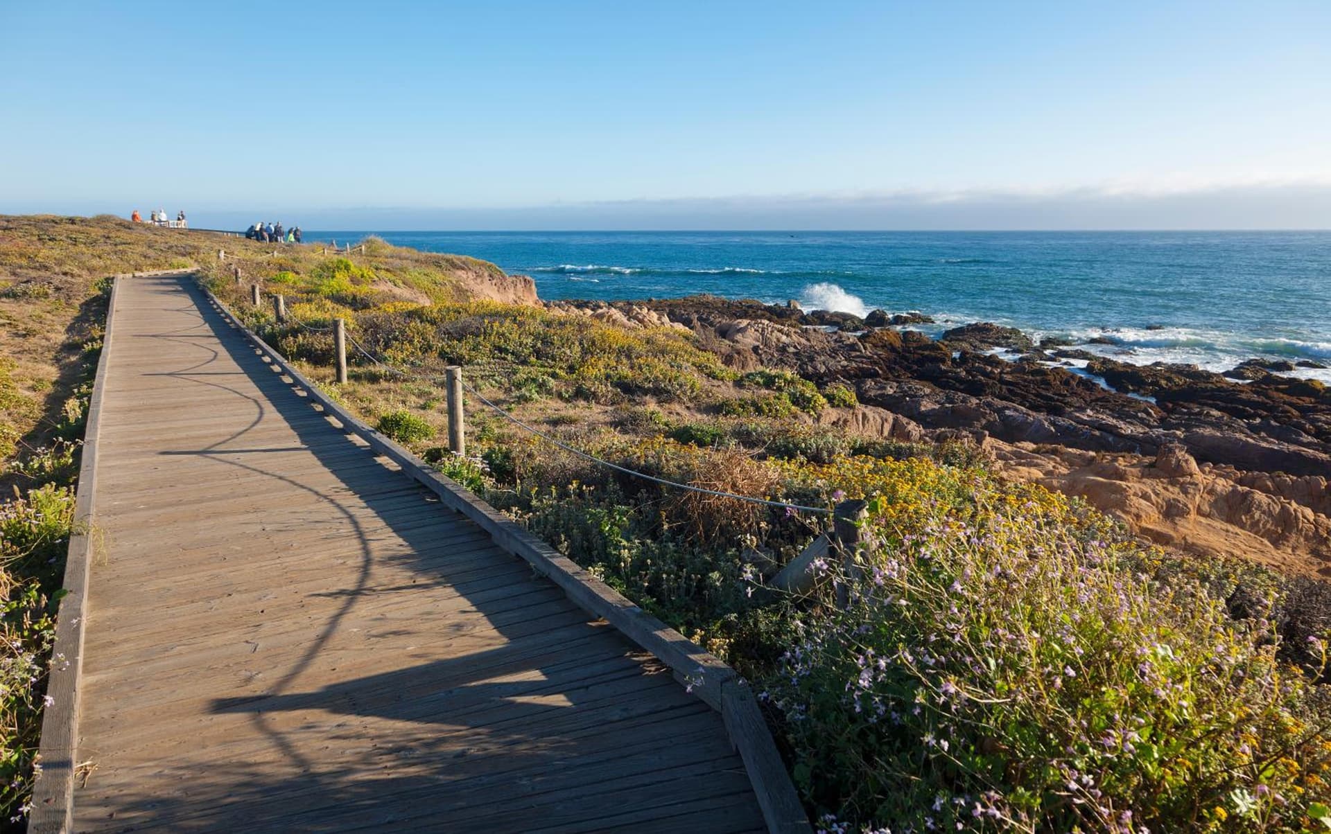Pelican Inn & Suites gallery photo in Cambria, CA — image 16