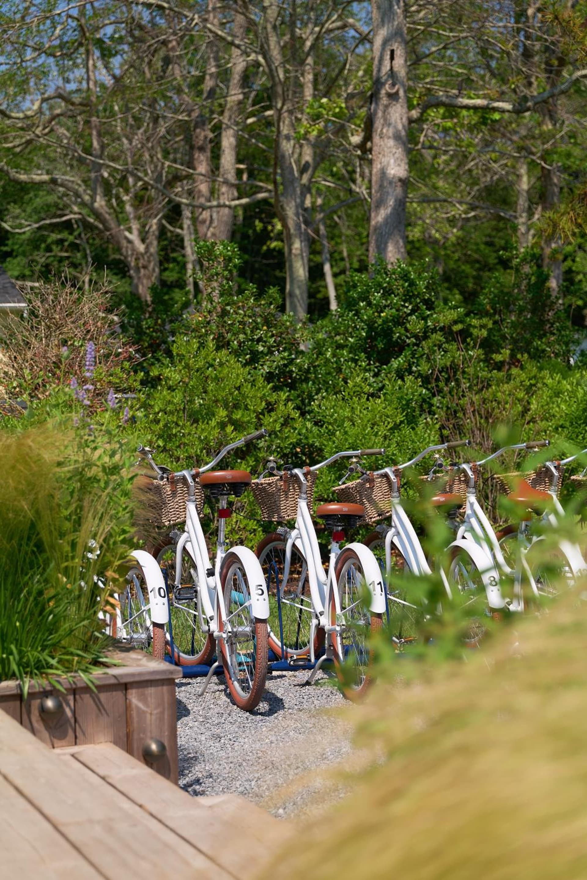 Silver Sands Motel & Beach Bungalows gallery photo in Greenport, NY — image 91