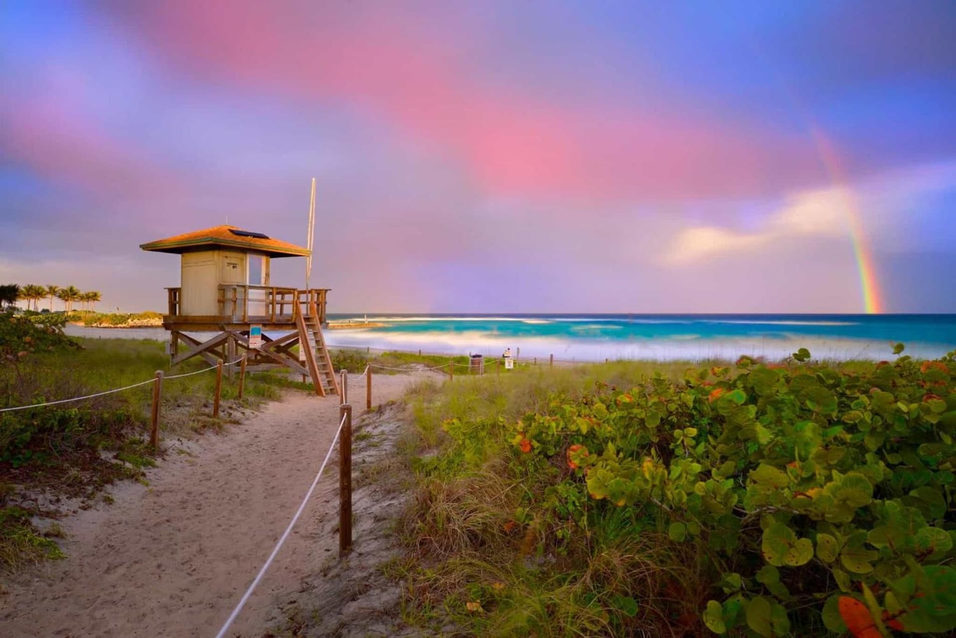 Holiday Inn & Suites Boca Raton - North gallery photo in Boca Raton, FL — image 28
