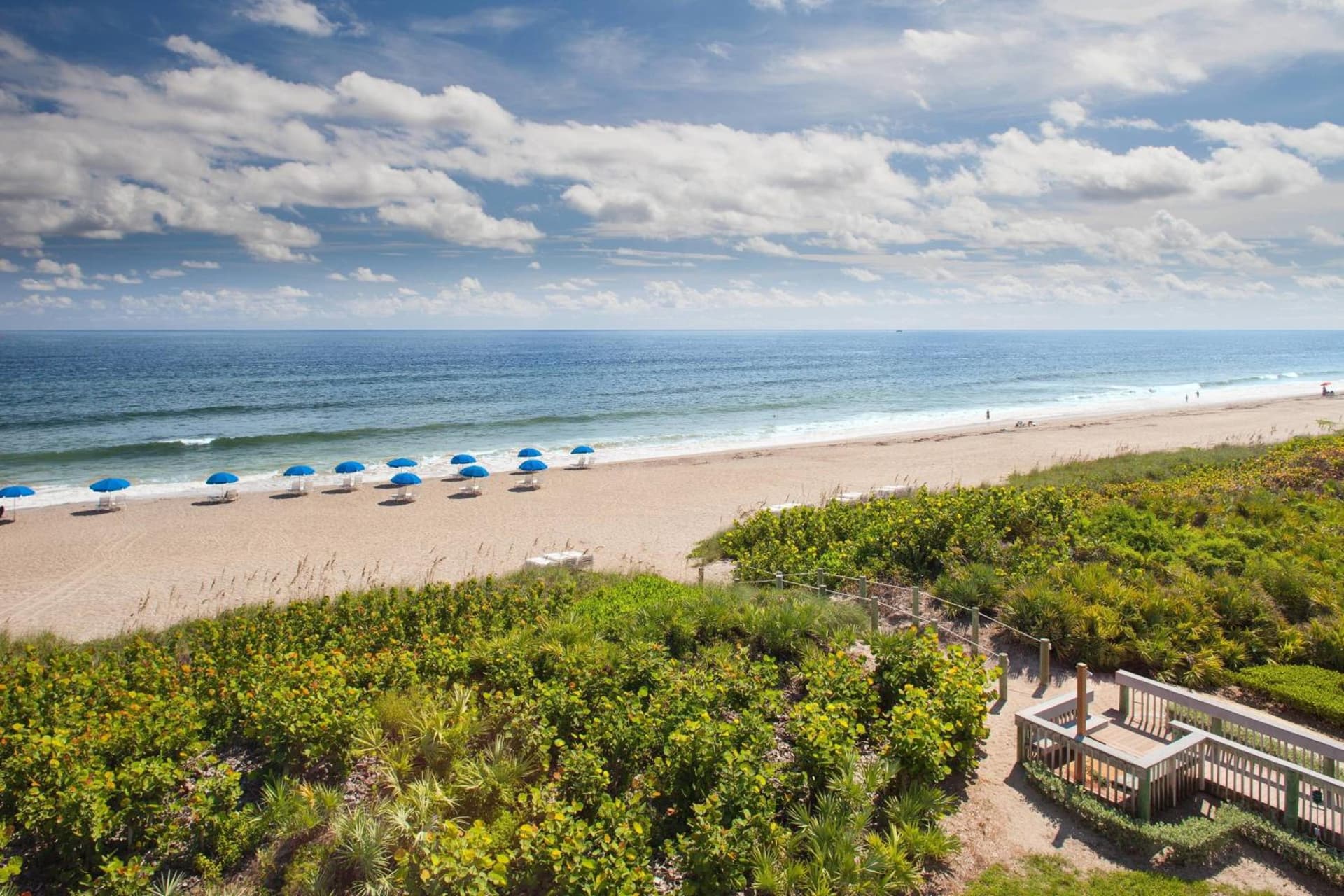 Marriott Hutchinson Island Resort & Beach Villas, Golf & Marina gallery photo in Stuart, FL — image 23