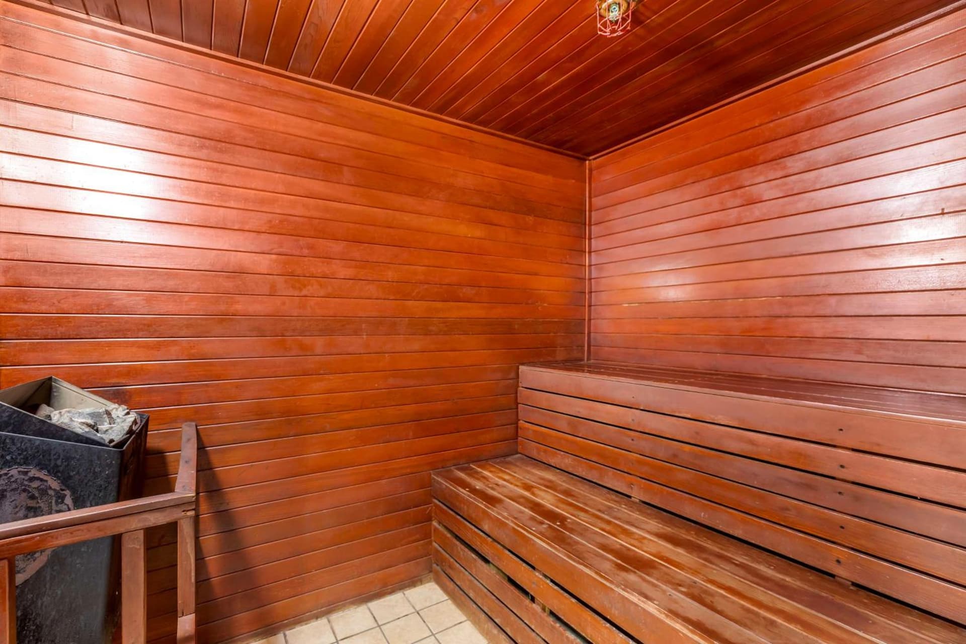 Best Western Kiva Inn gallery photo in Fort Collins, CO — image 8