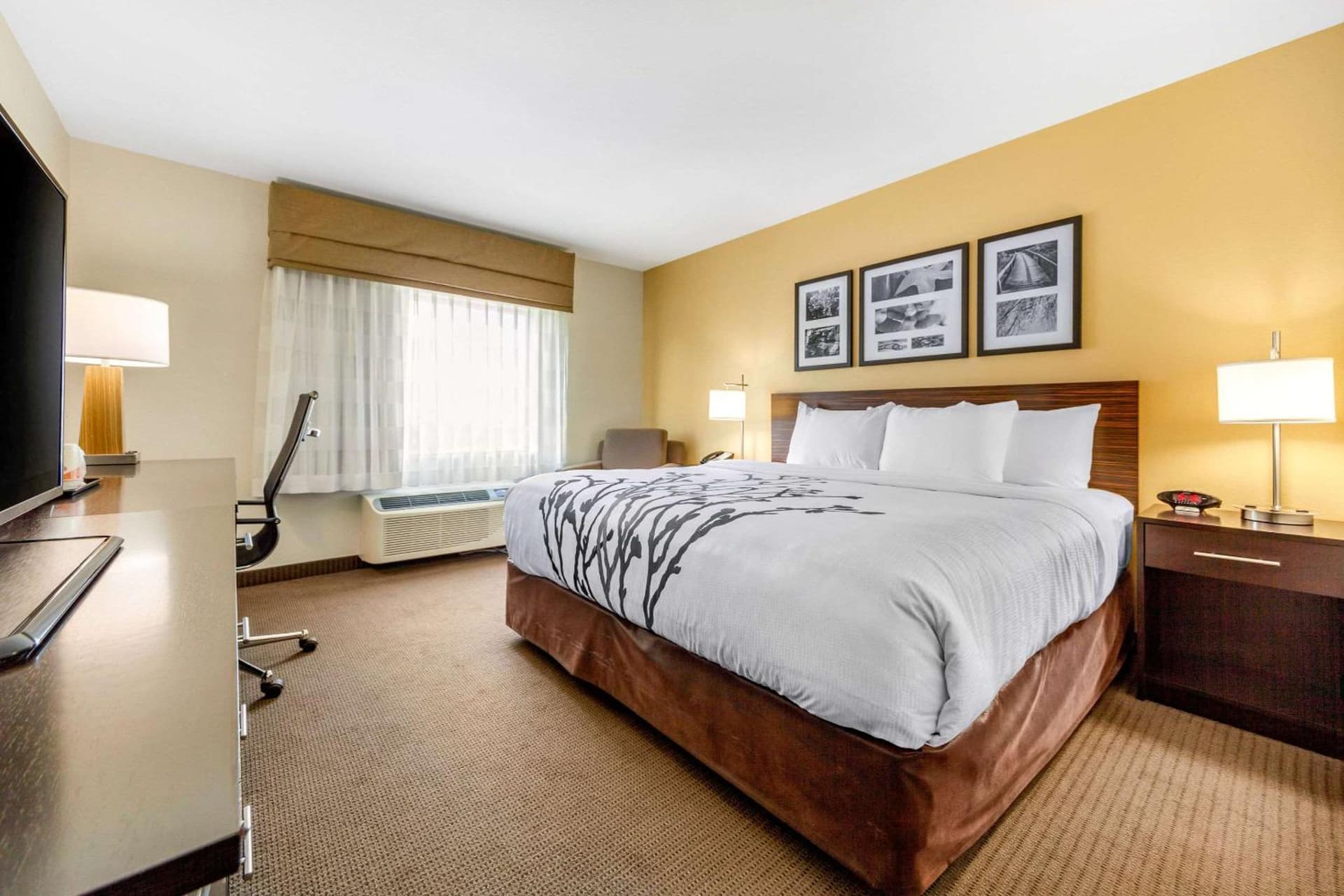 Sleep Inn & Suites Lincoln University Area gallery photo in Lincoln, NE — image 33