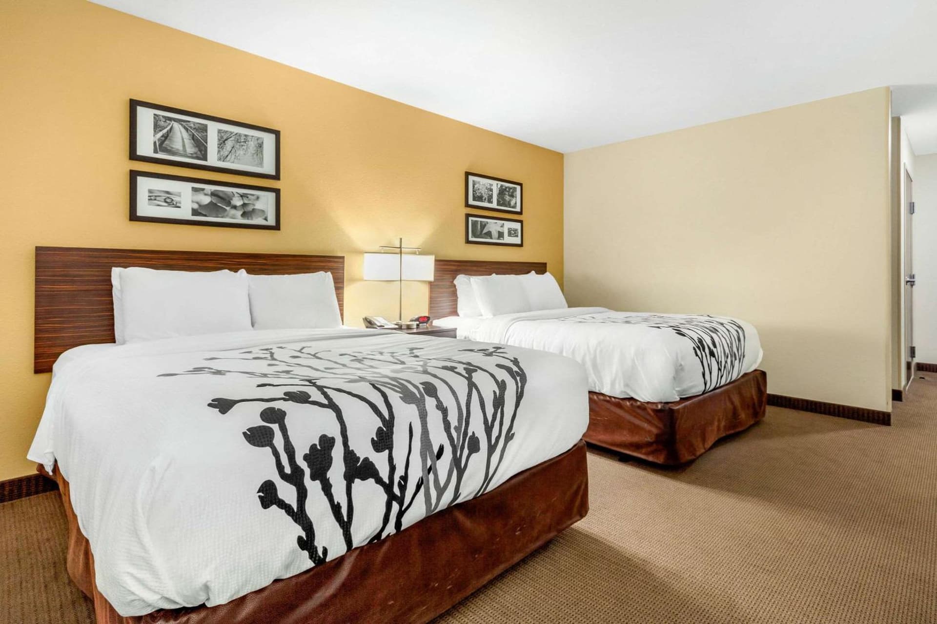 Sleep Inn & Suites Lincoln University Area gallery photo in Lincoln, NE — image 26