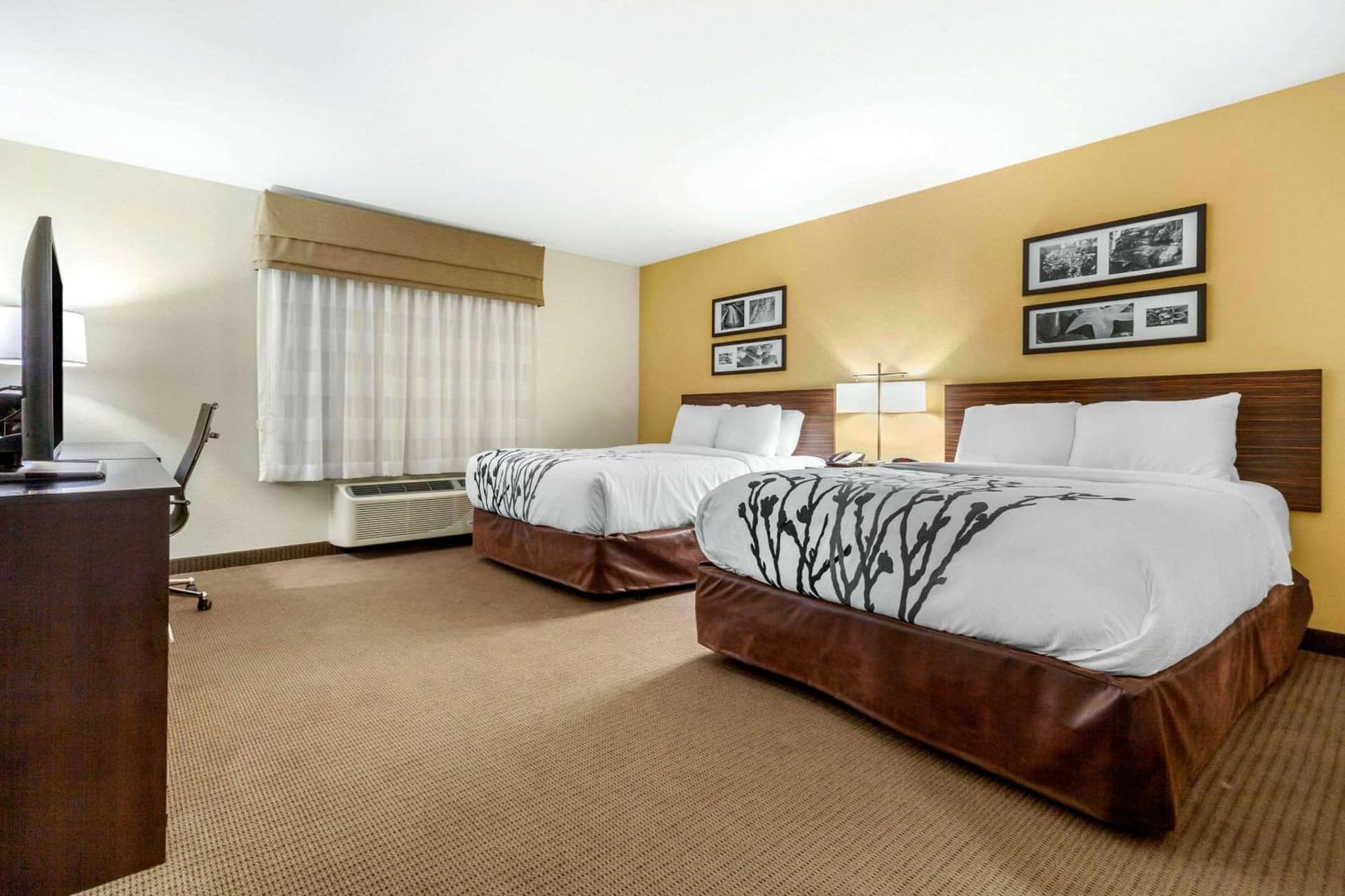 Sleep Inn & Suites Lincoln University Area gallery photo in Lincoln, NE — image 14