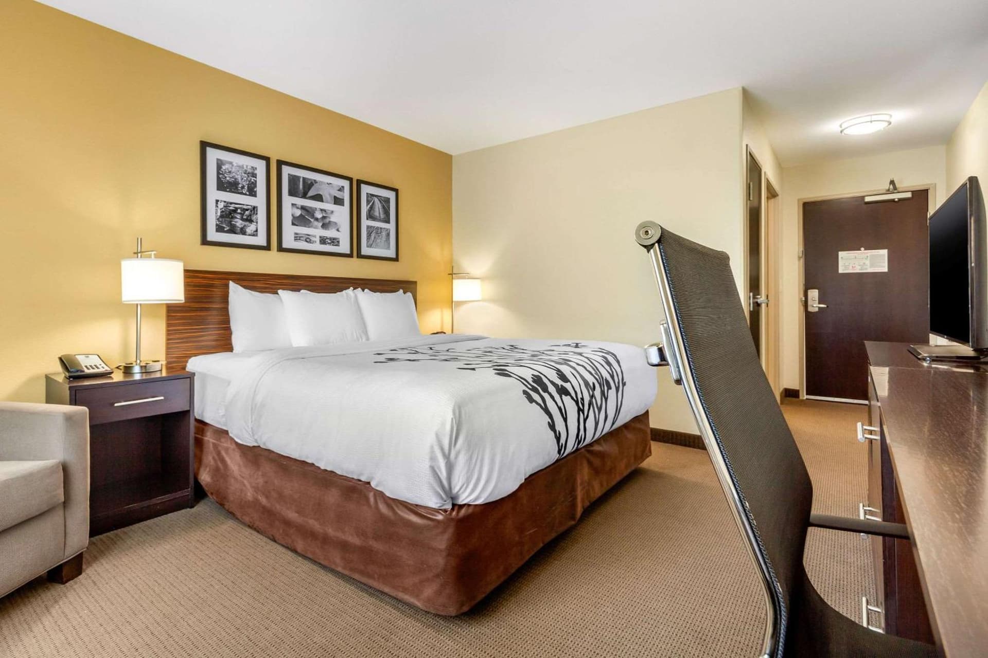 Sleep Inn & Suites Lincoln University Area gallery photo in Lincoln, NE — image 12