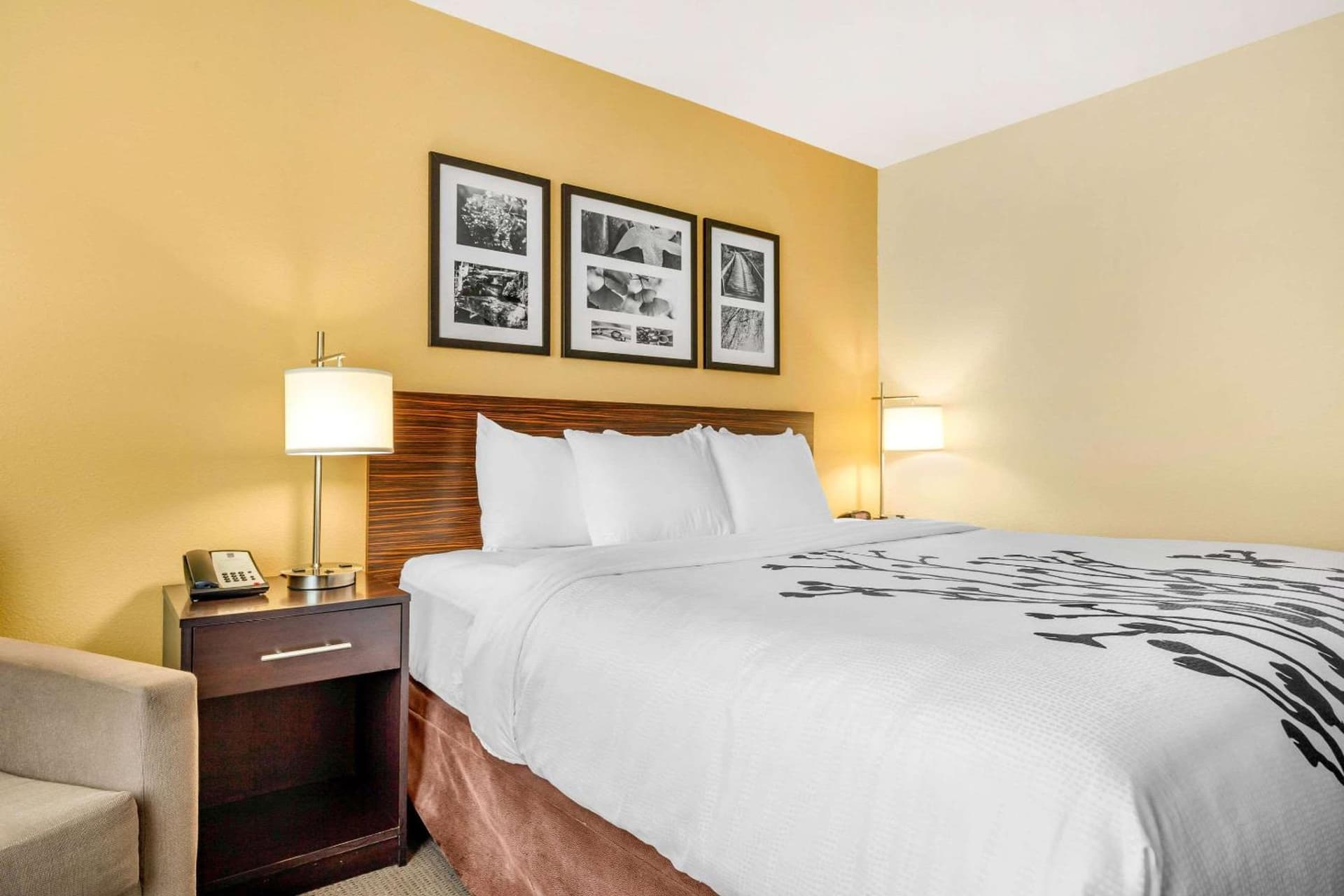 Sleep Inn & Suites Lincoln University Area gallery photo in Lincoln, NE — image 54