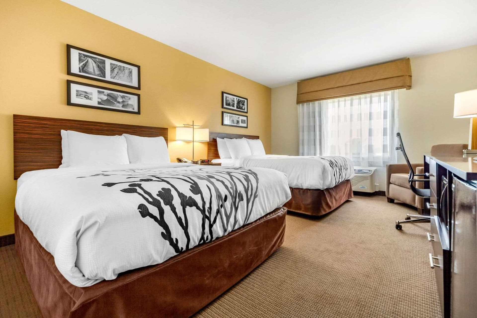 Sleep Inn & Suites Lincoln University Area gallery photo in Lincoln, NE — image 39