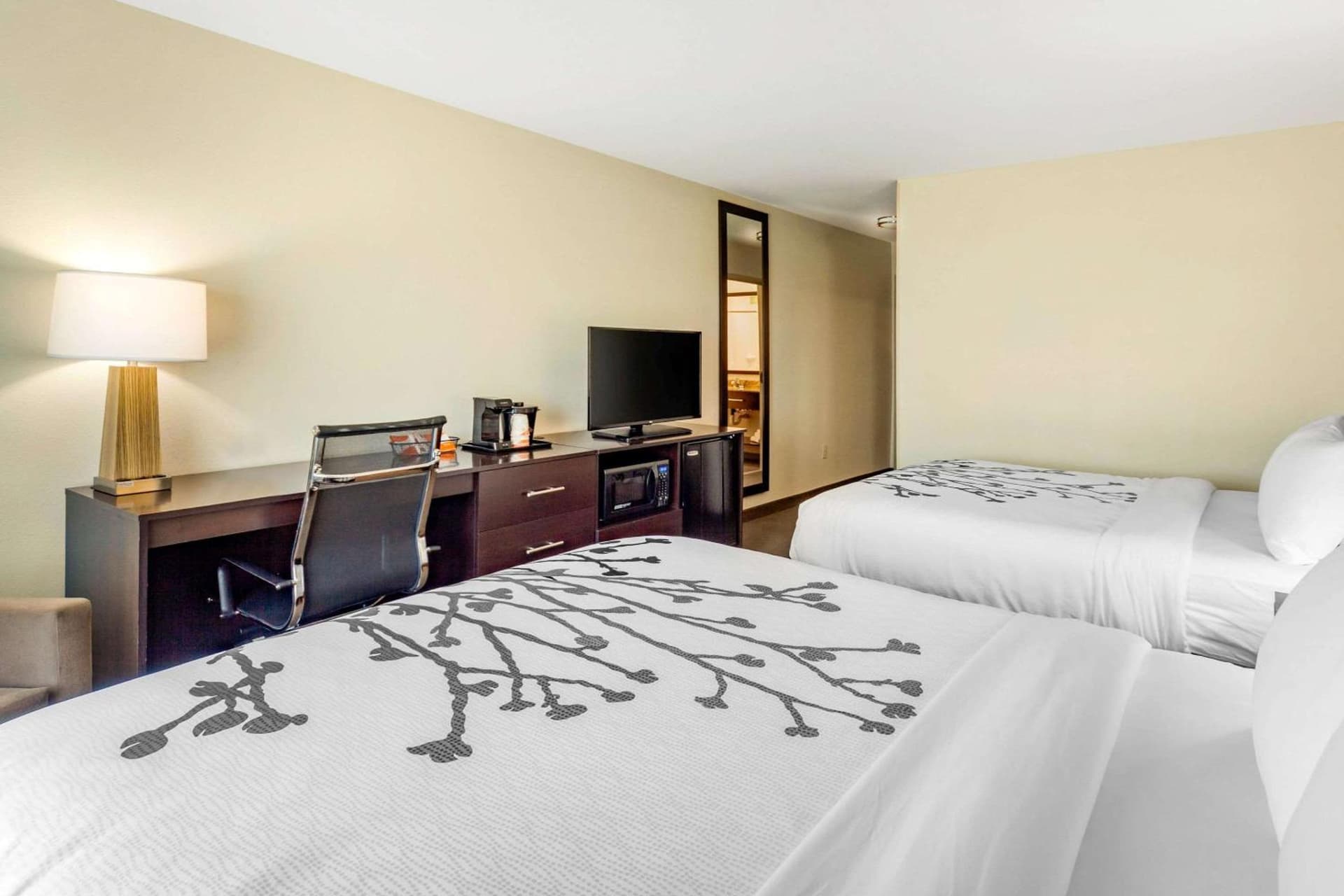 Sleep Inn & Suites Lincoln University Area gallery photo in Lincoln, NE — image 15